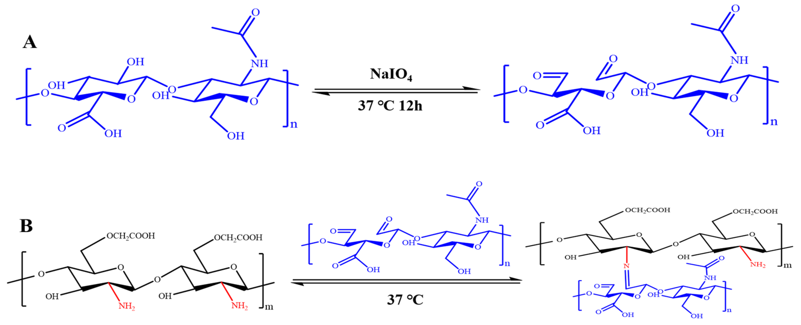 Pharmaceutics 17 00527 g001