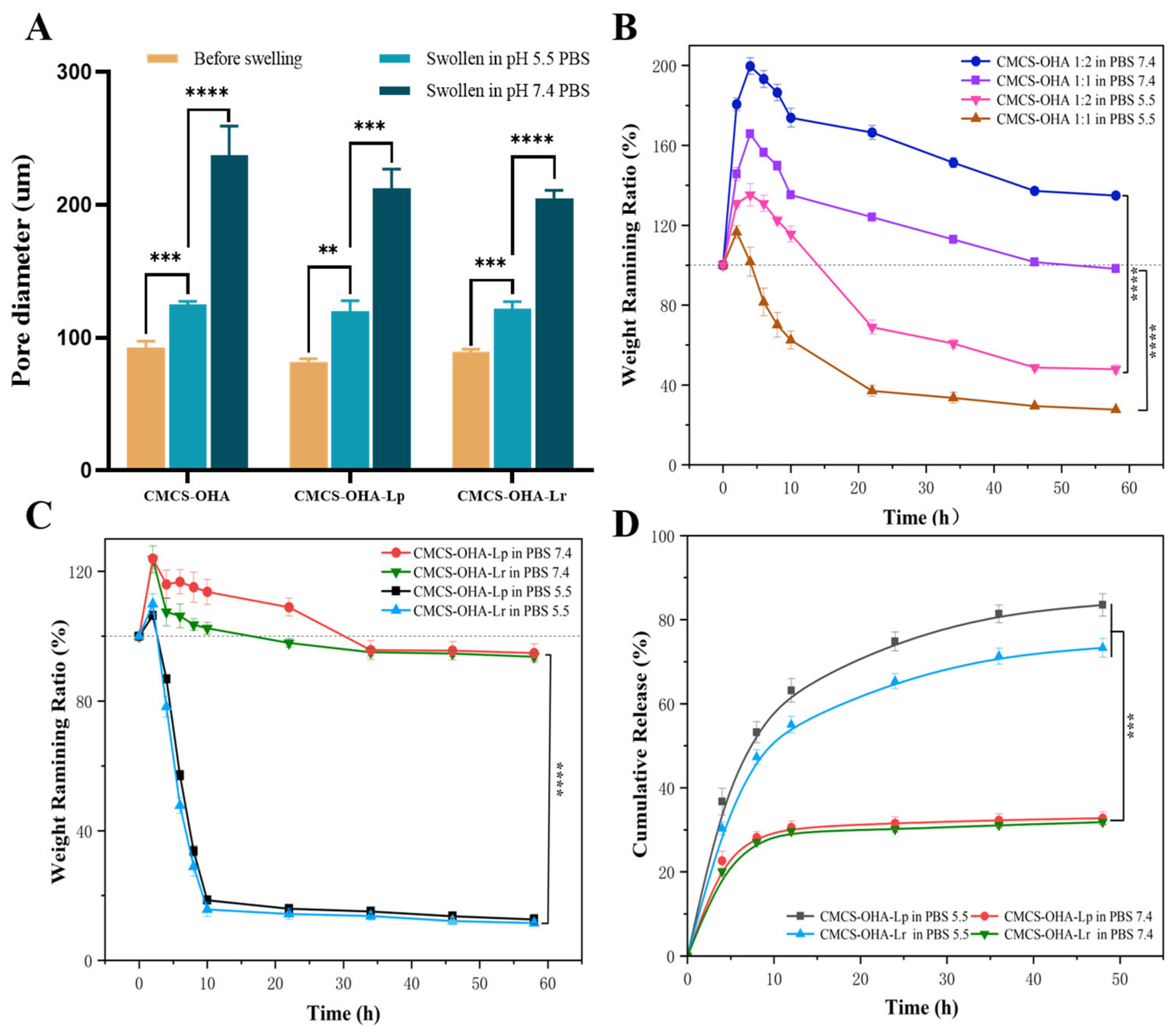 Pharmaceutics 17 00527 g004