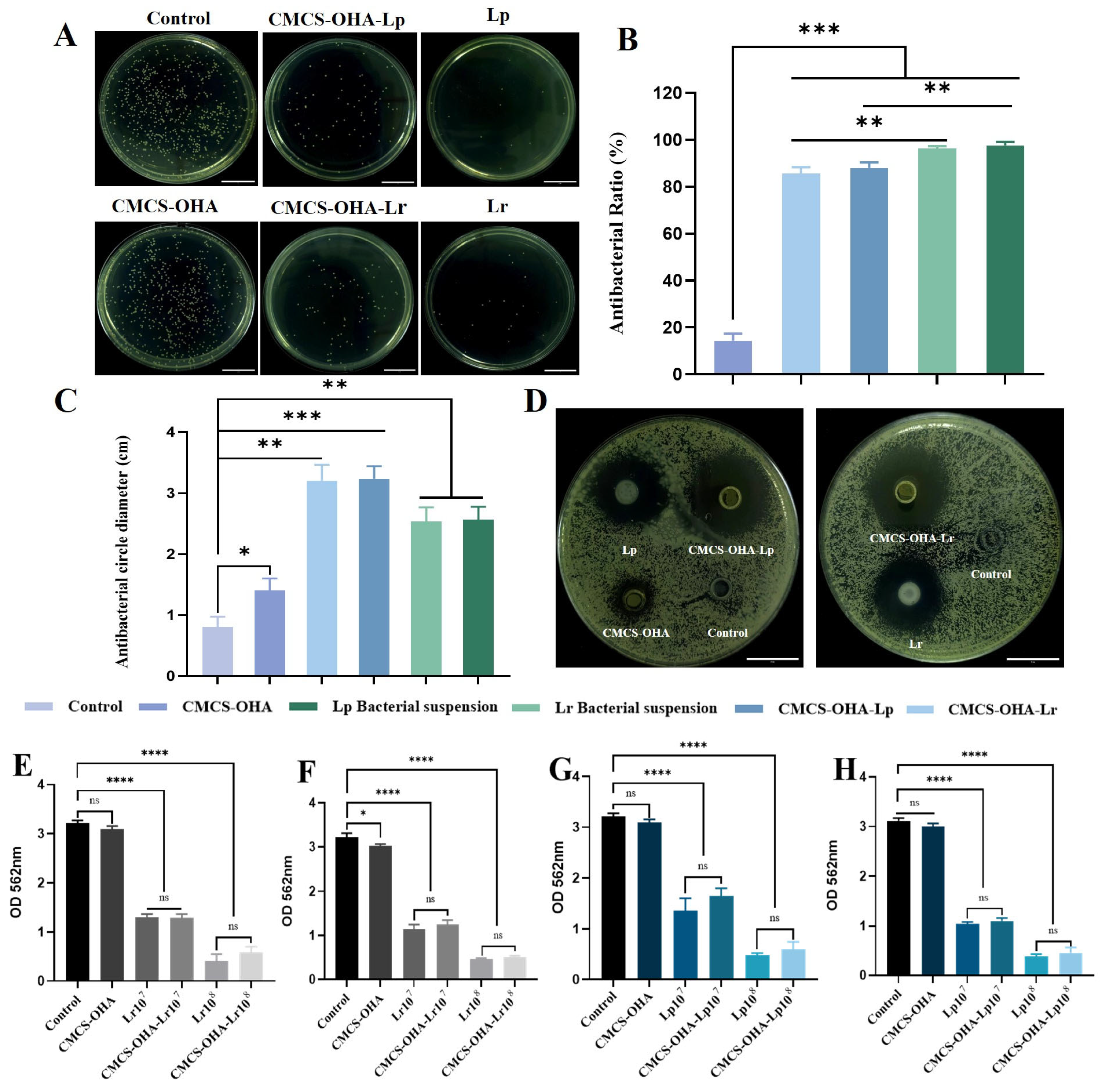 Pharmaceutics 17 00527 g005