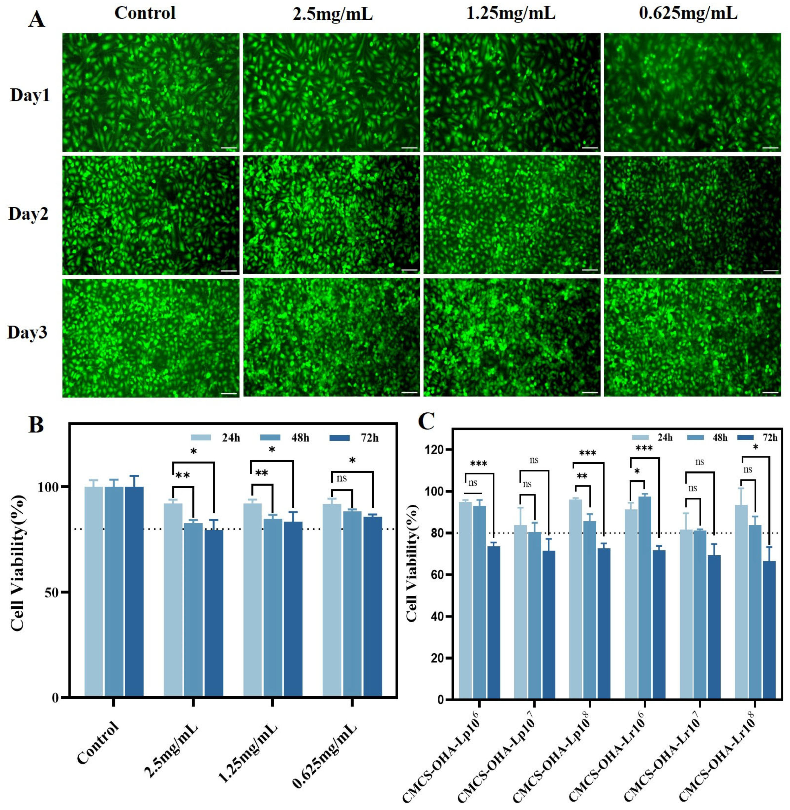 Pharmaceutics 17 00527 g007