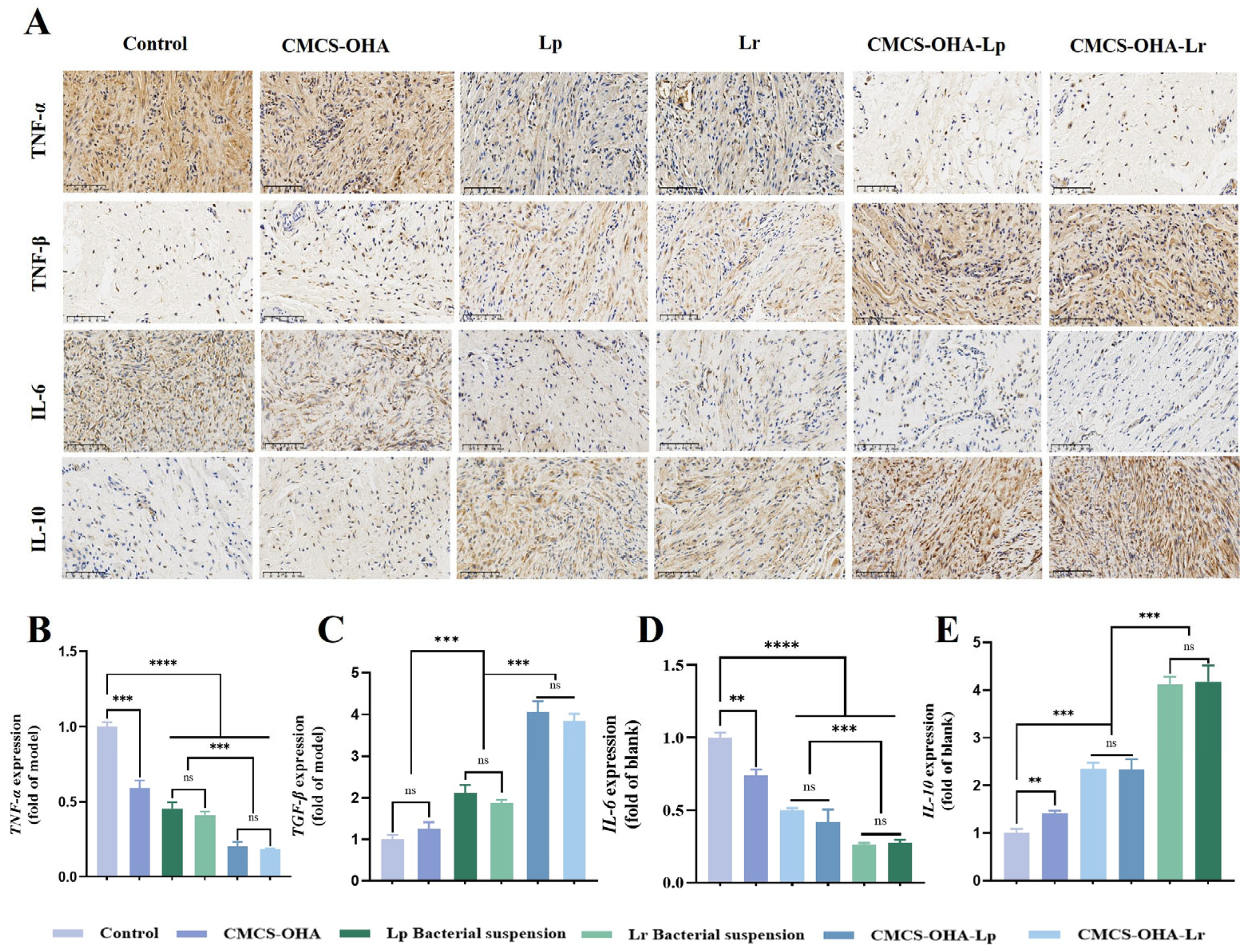 Pharmaceutics 17 00527 g010