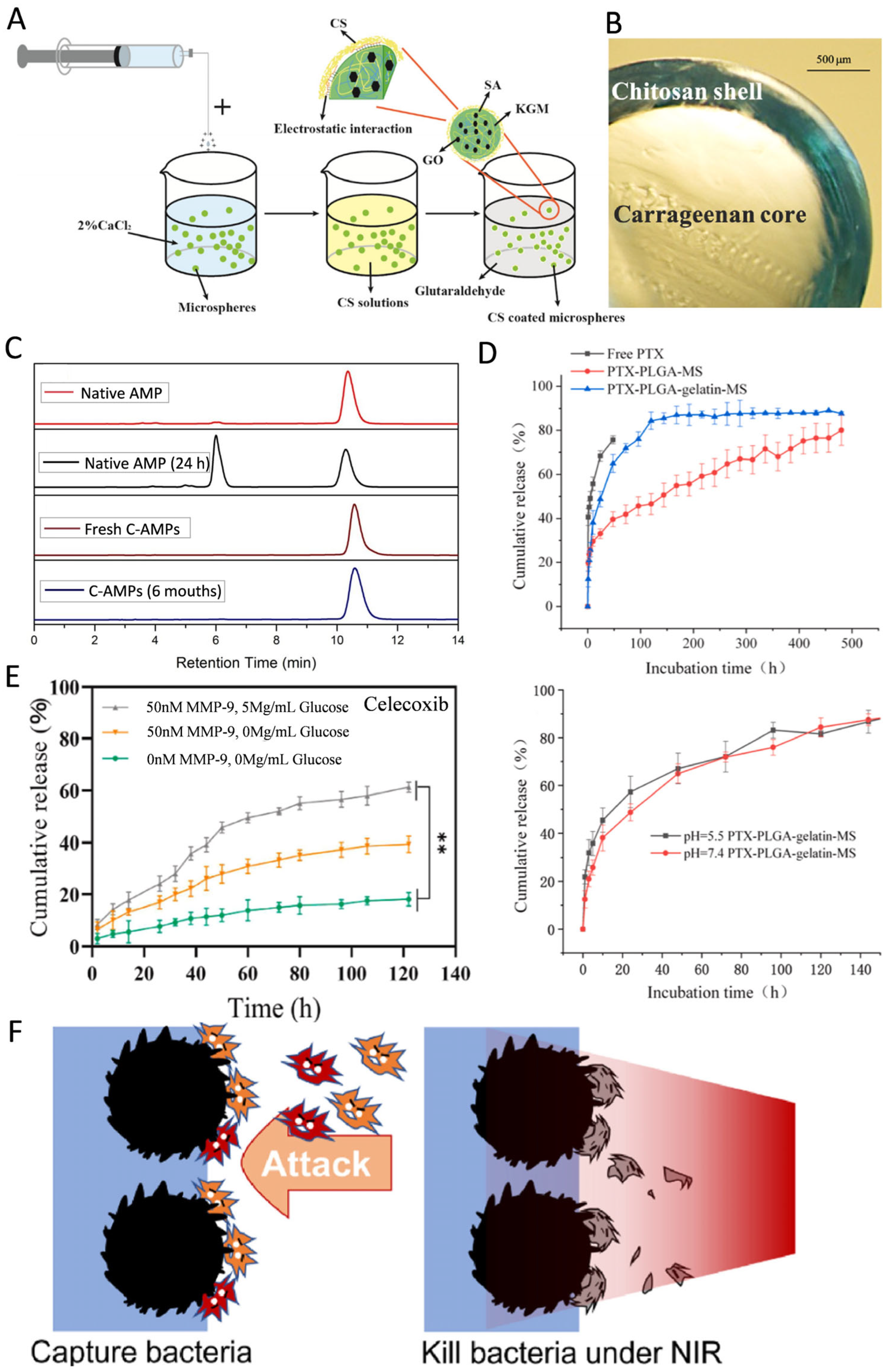 Pharmaceutics 17 00529 g002