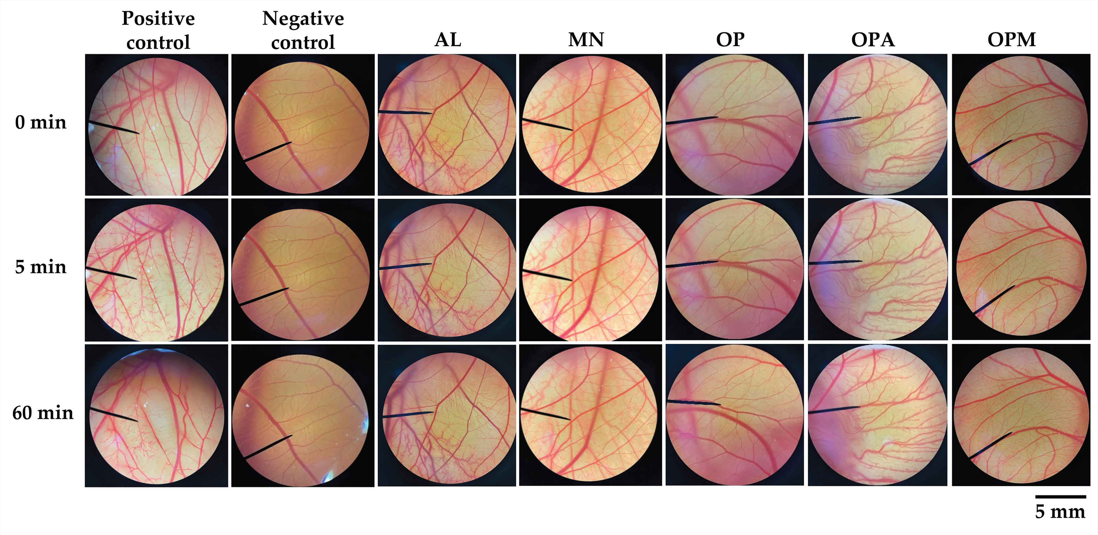 Pharmaceutics 17 00530 g005