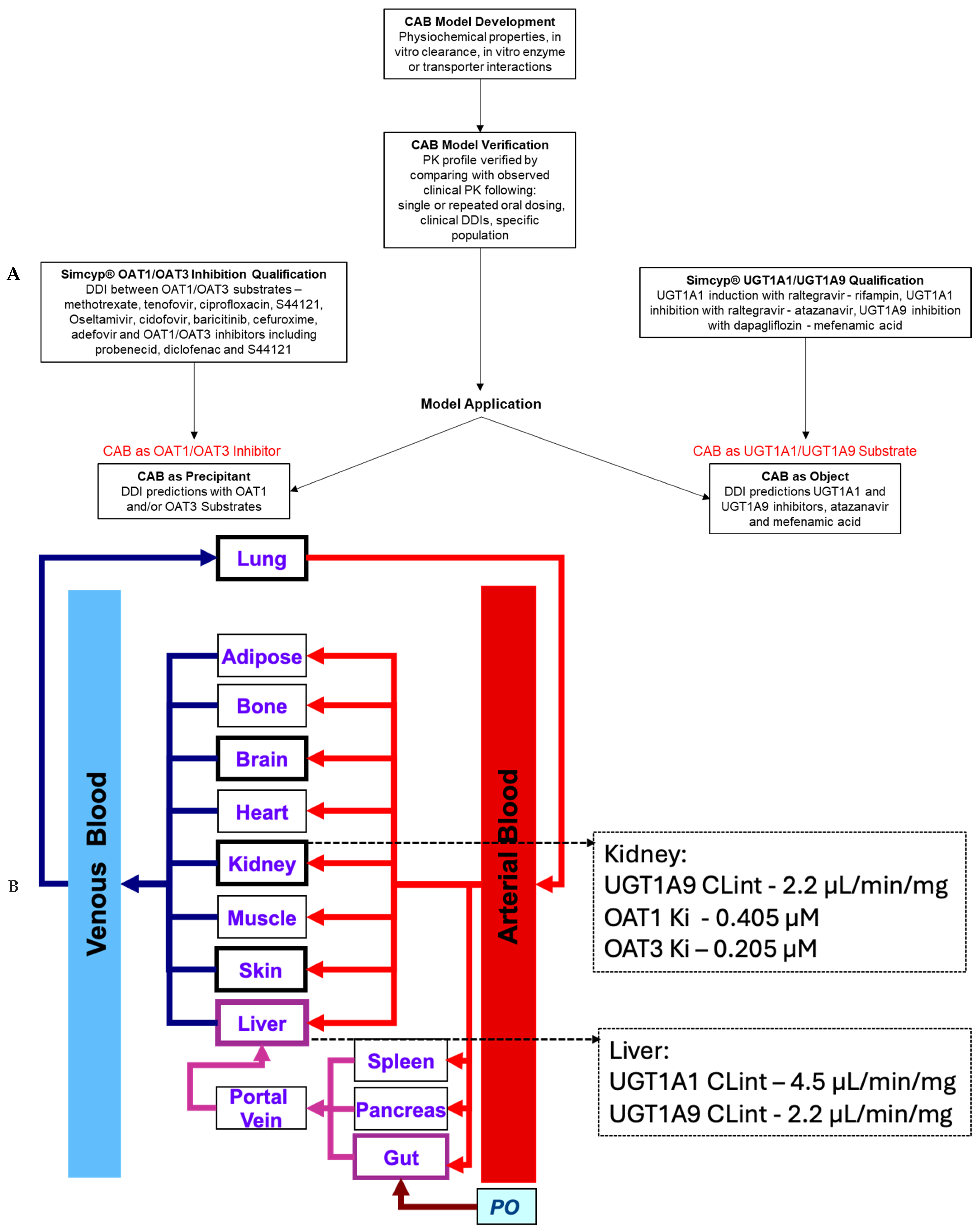 Pharmaceutics 17 00531 g001
