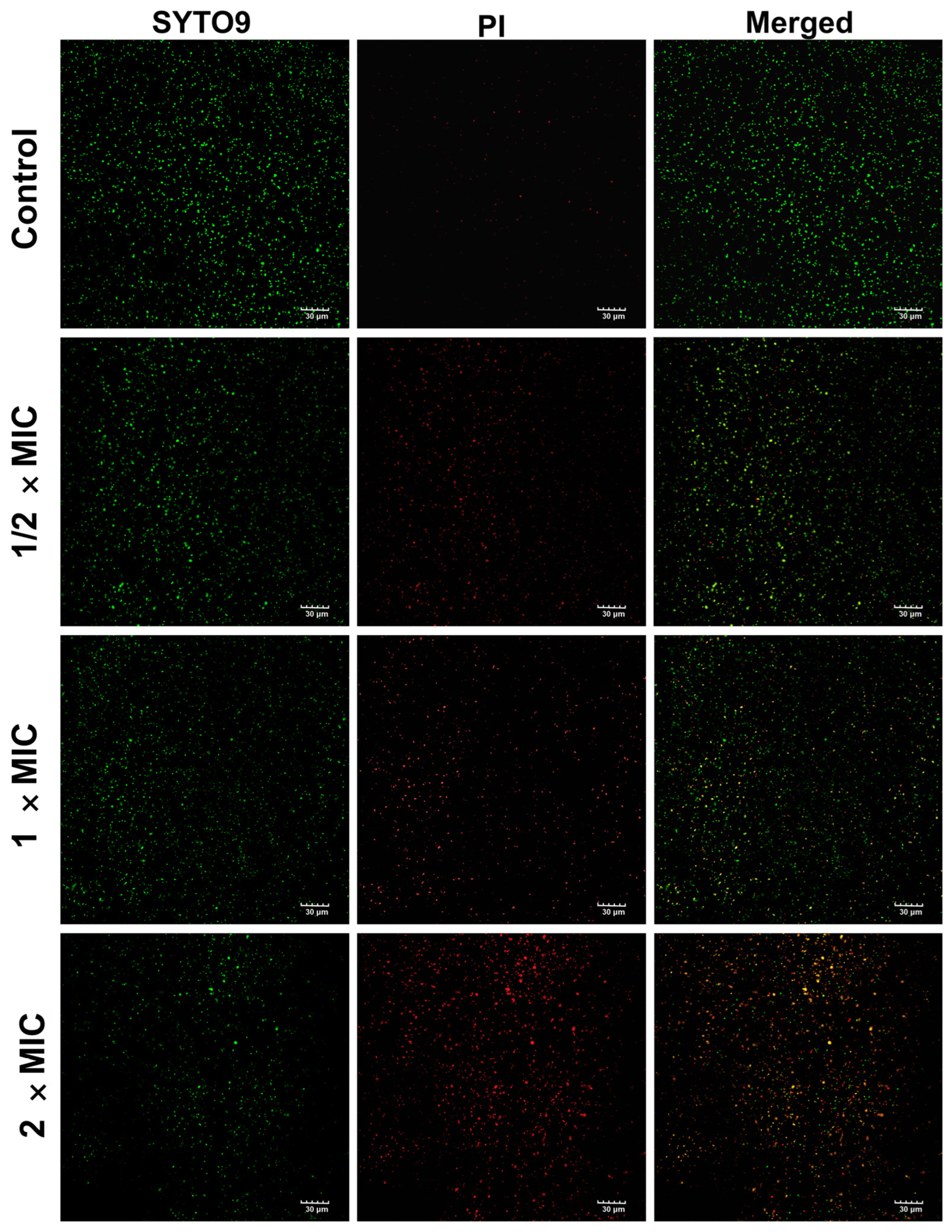 Pharmaceutics 17 00532 g007