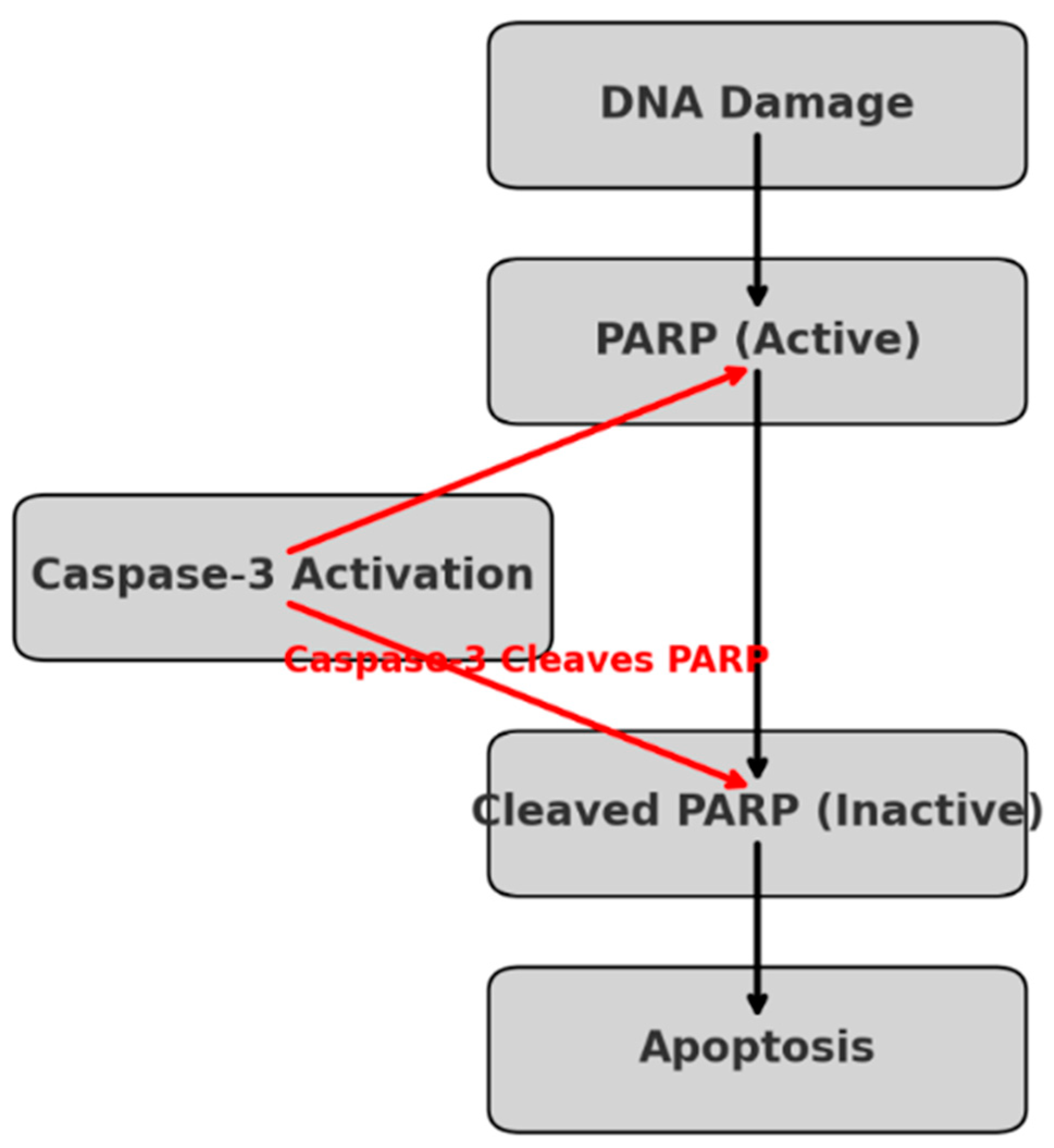 Pharmaceutics 17 00536 g002