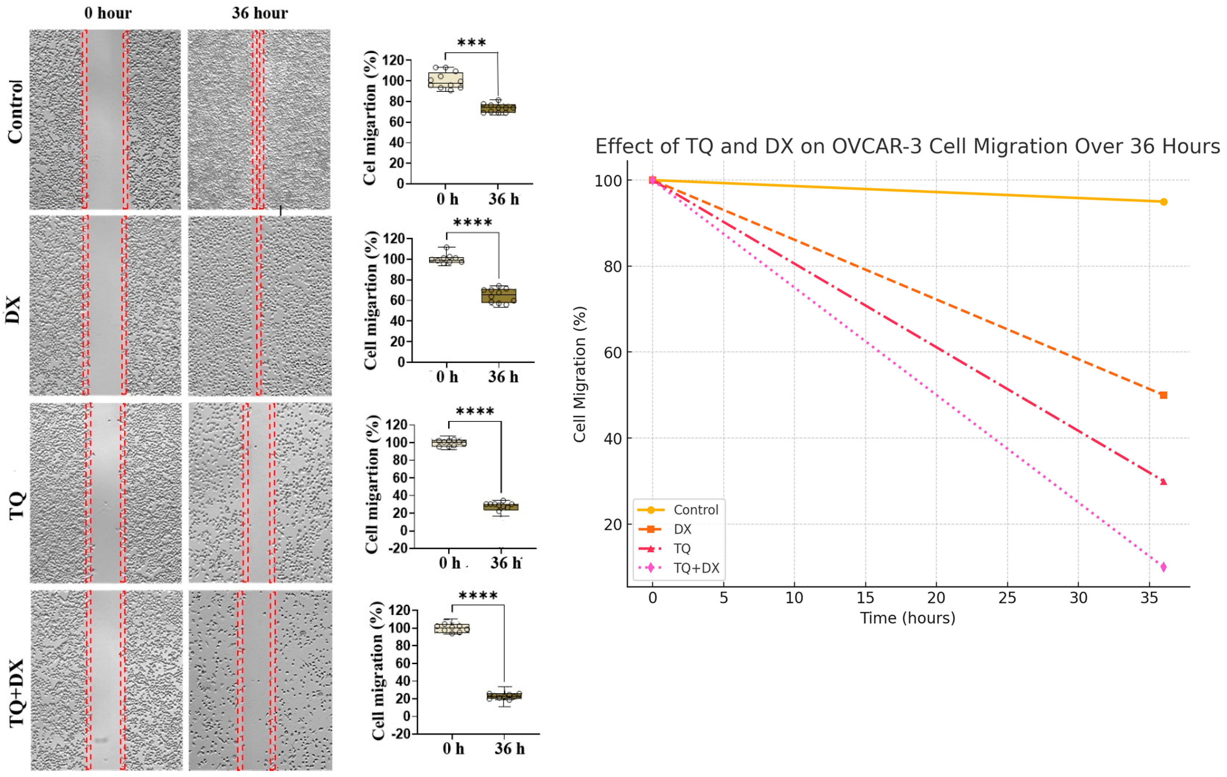 Pharmaceutics 17 00536 g005