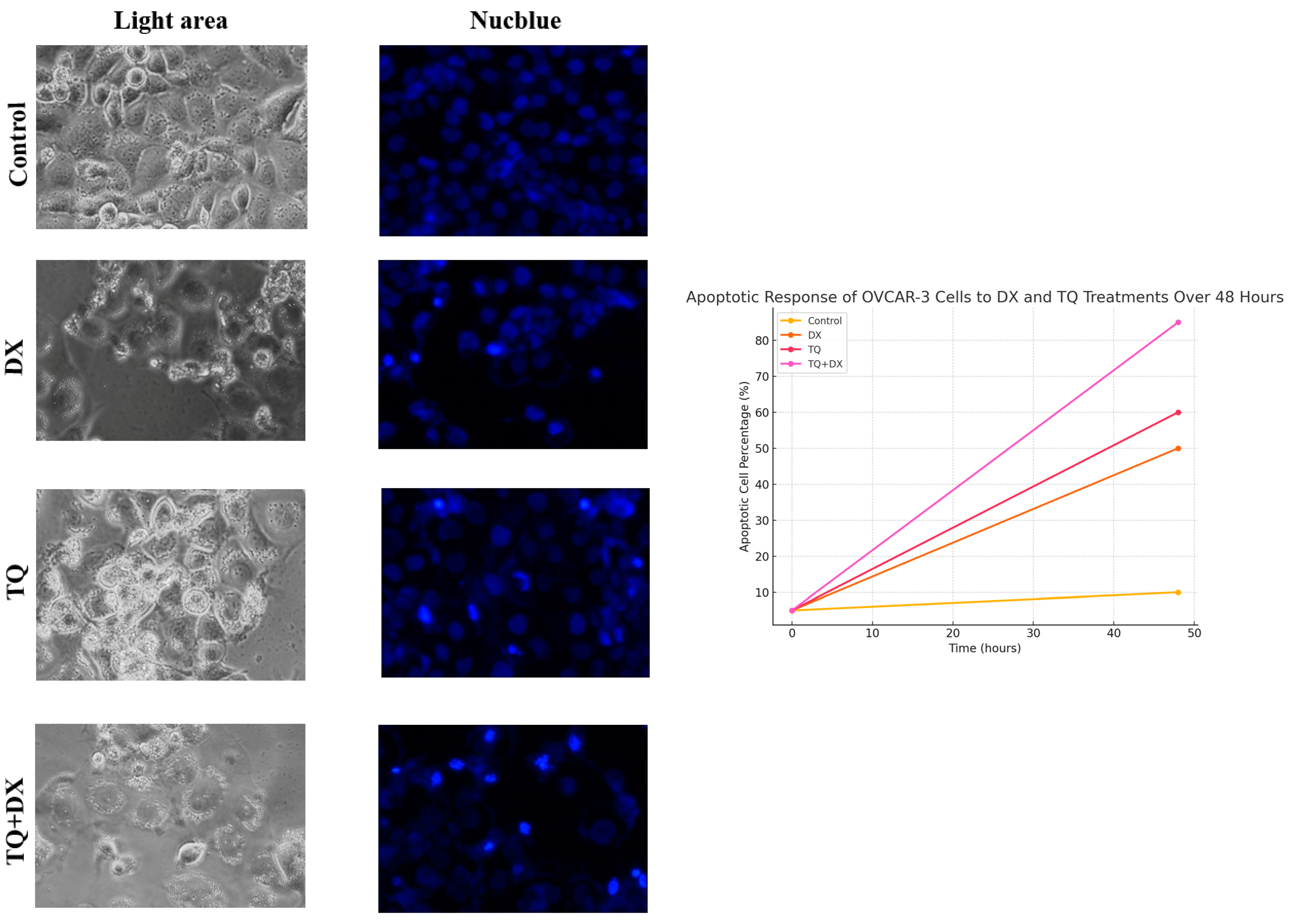 Pharmaceutics 17 00536 g006