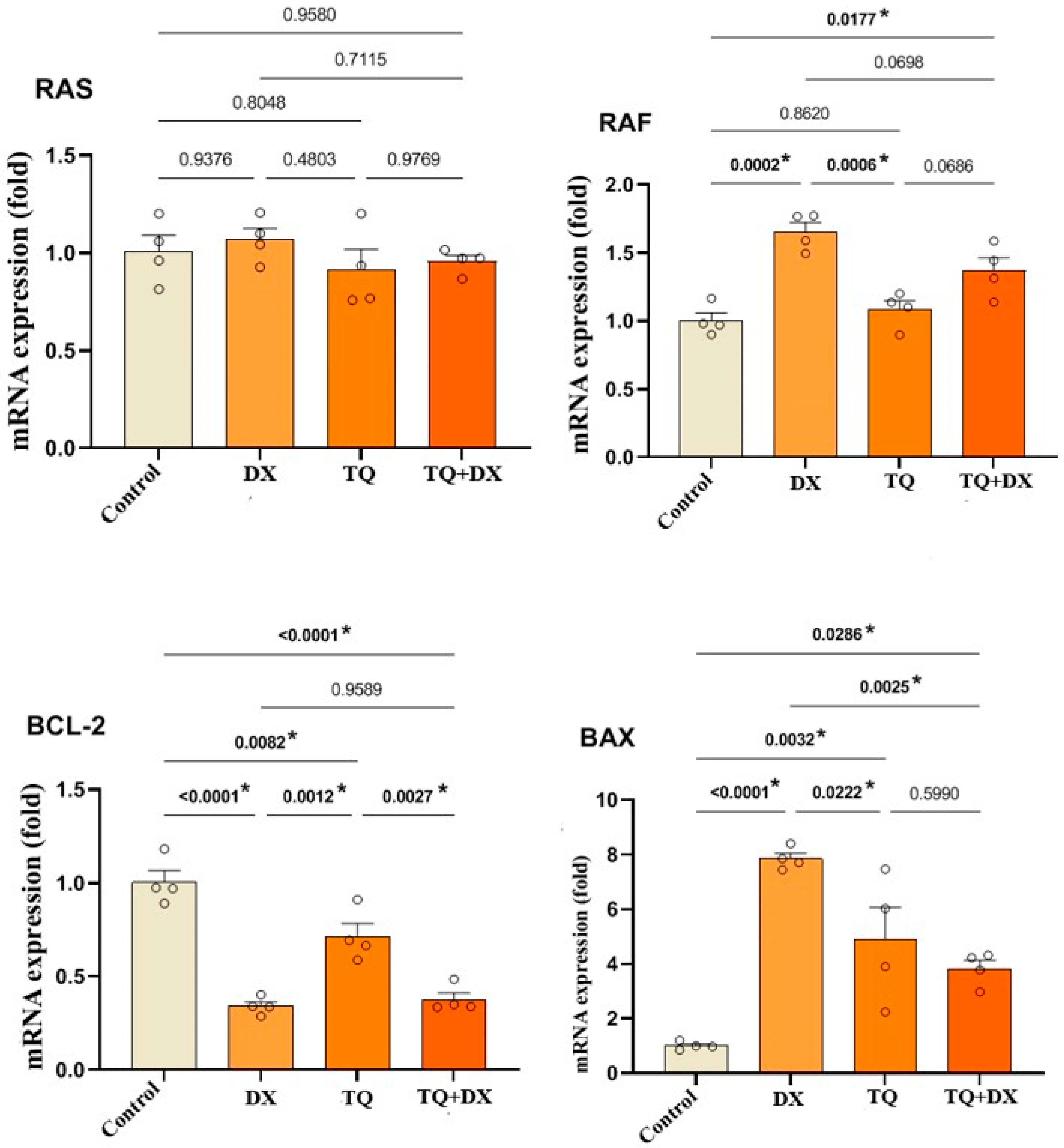 Pharmaceutics 17 00536 g007