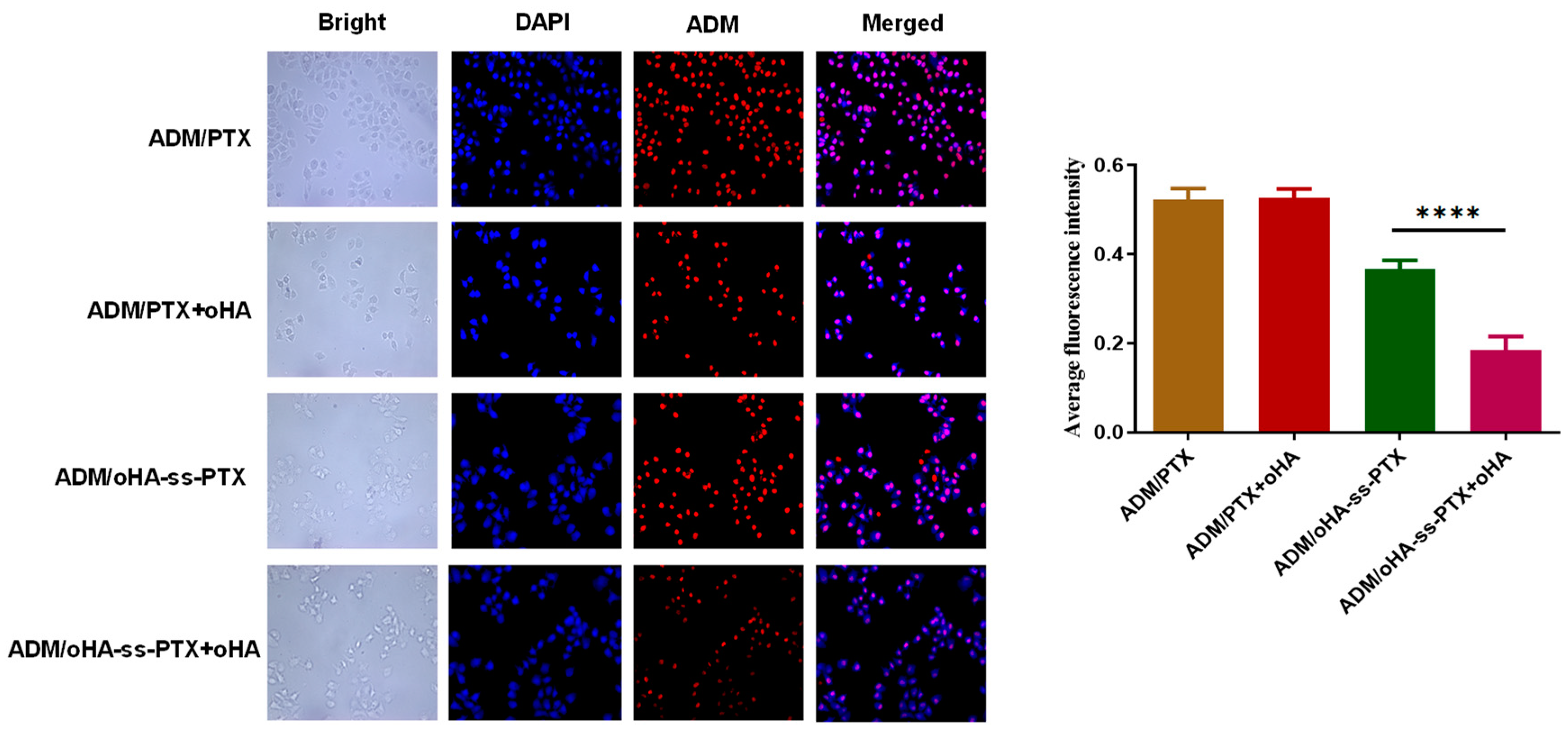 Pharmaceutics 17 00538 g007