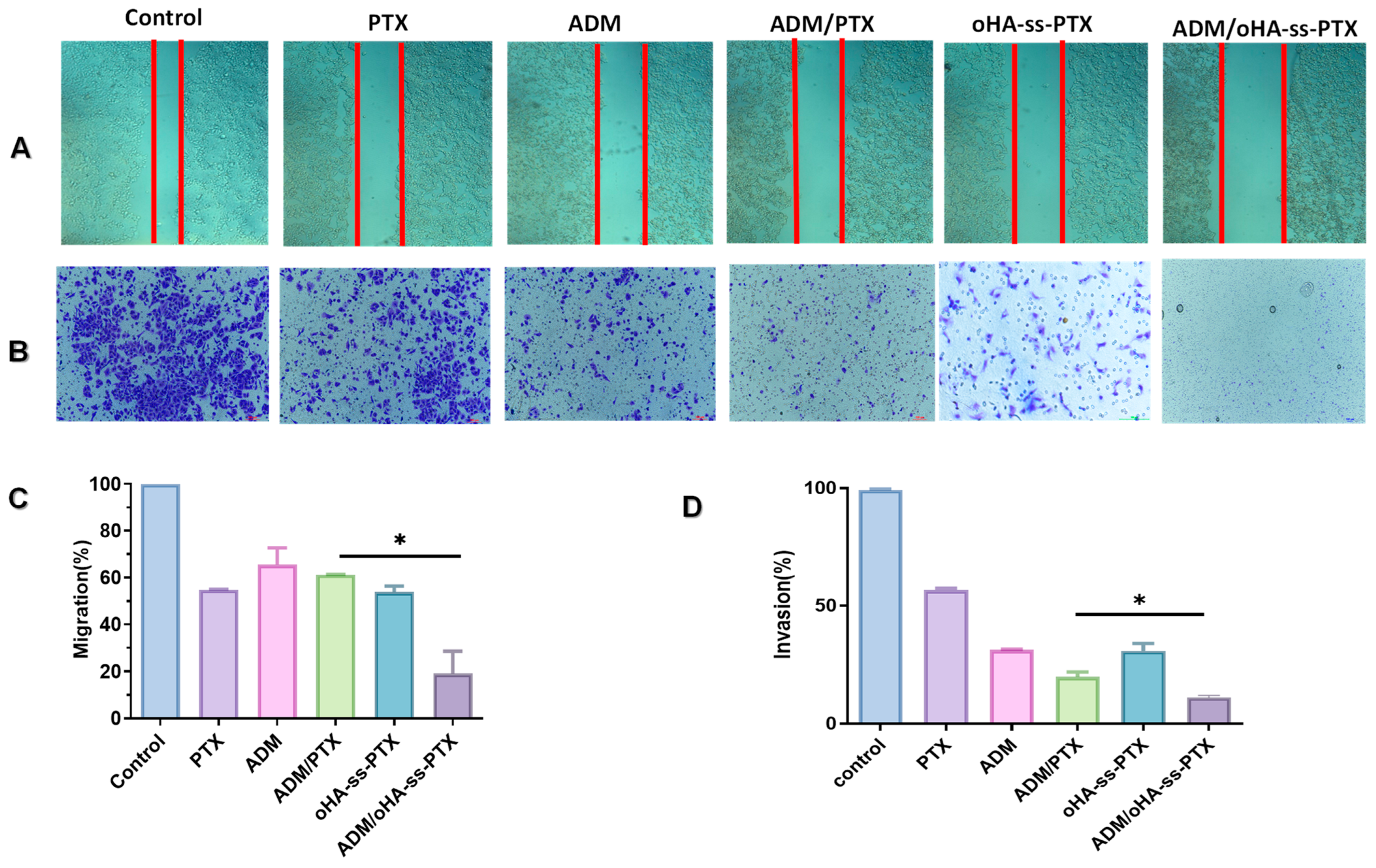 Pharmaceutics 17 00538 g009