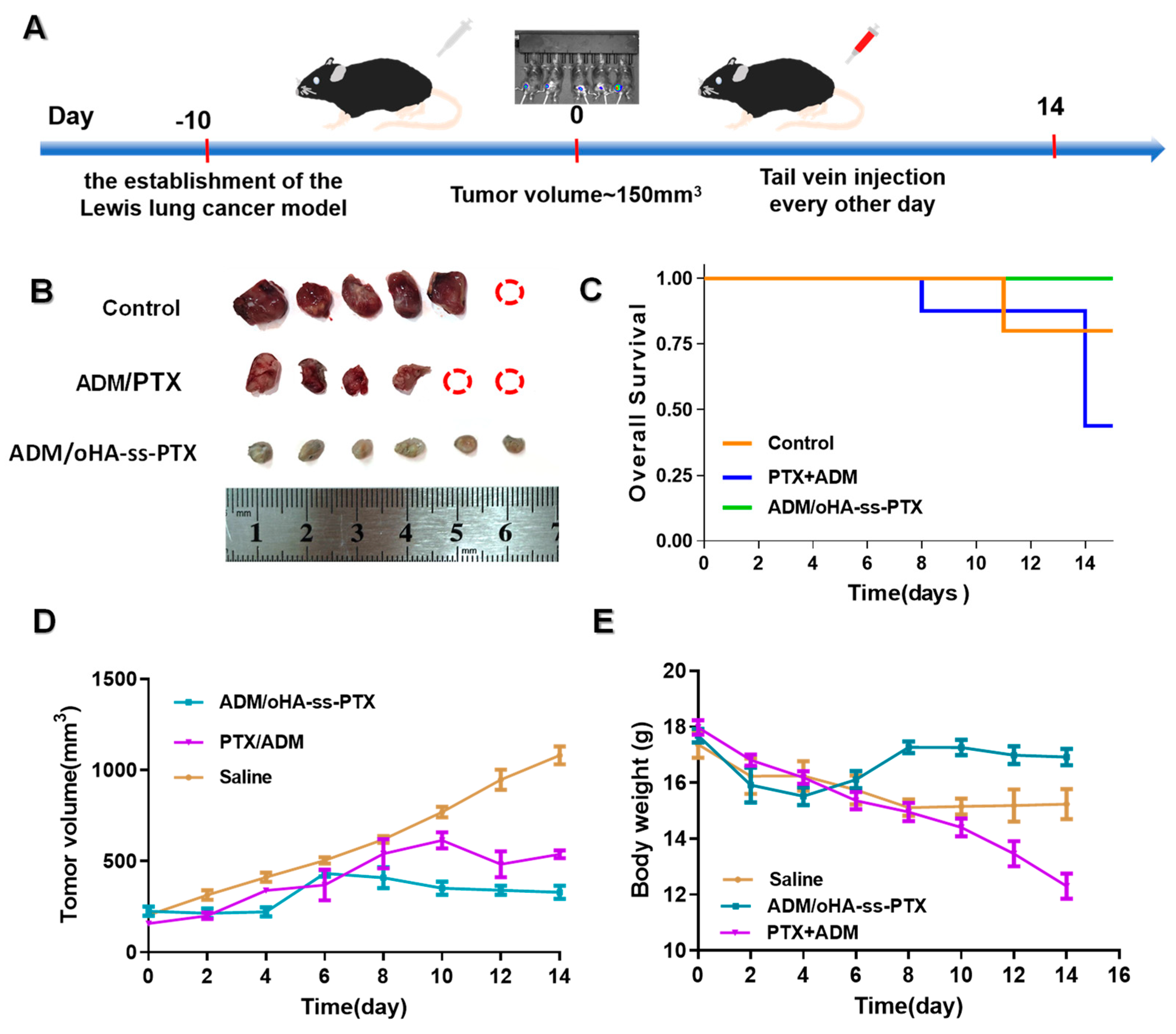 Pharmaceutics 17 00538 g011