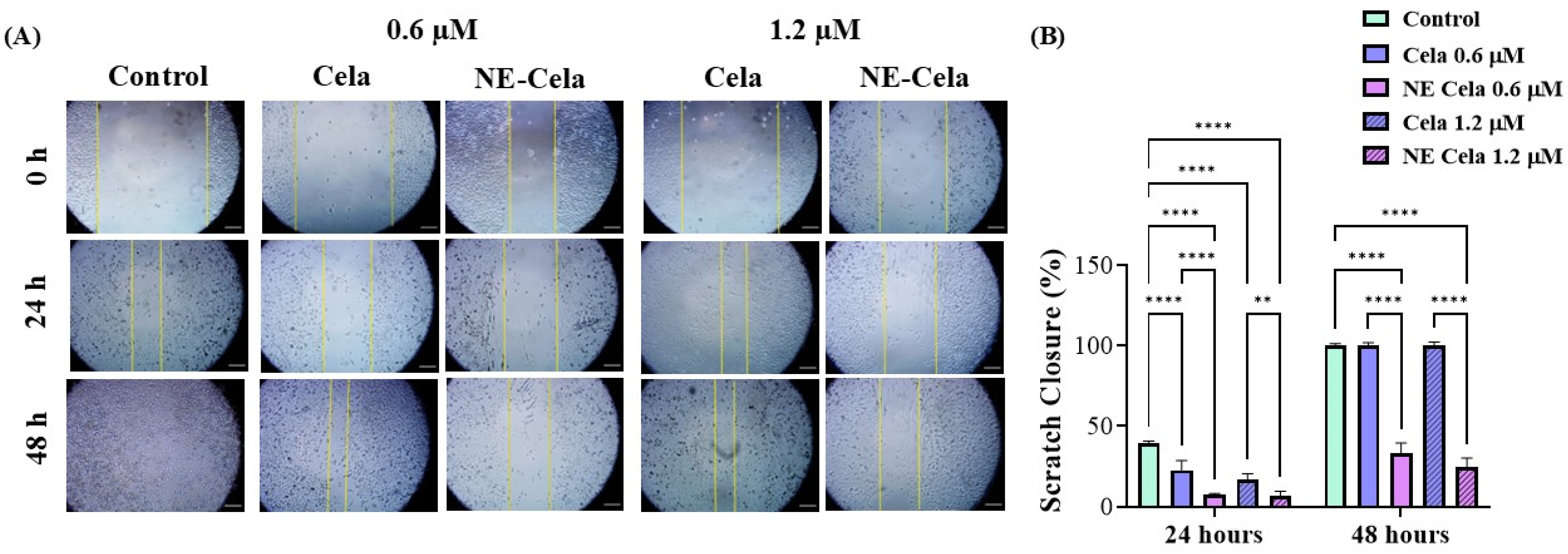 Pharmaceutics 17 00540 g005