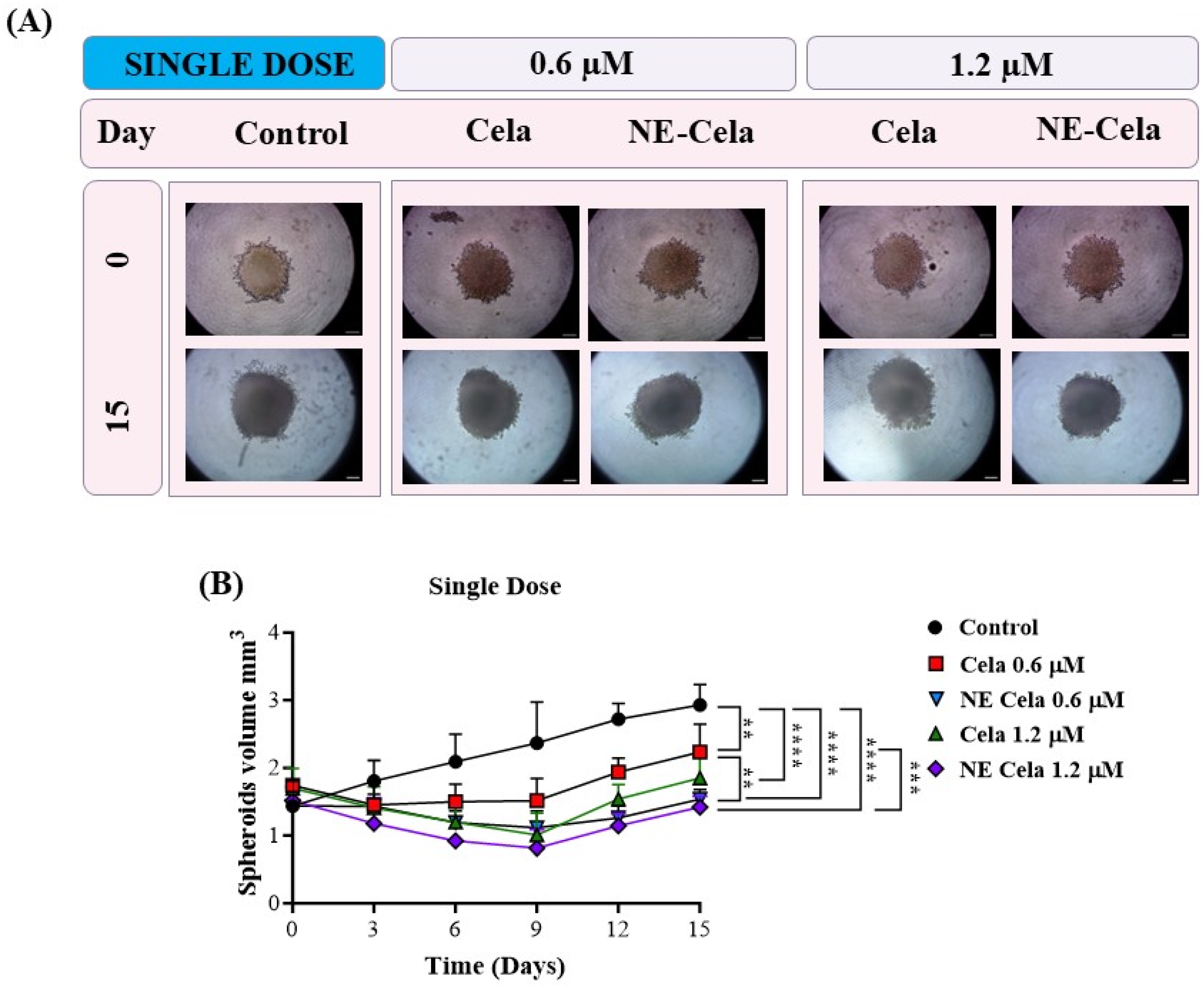 Pharmaceutics 17 00540 g007