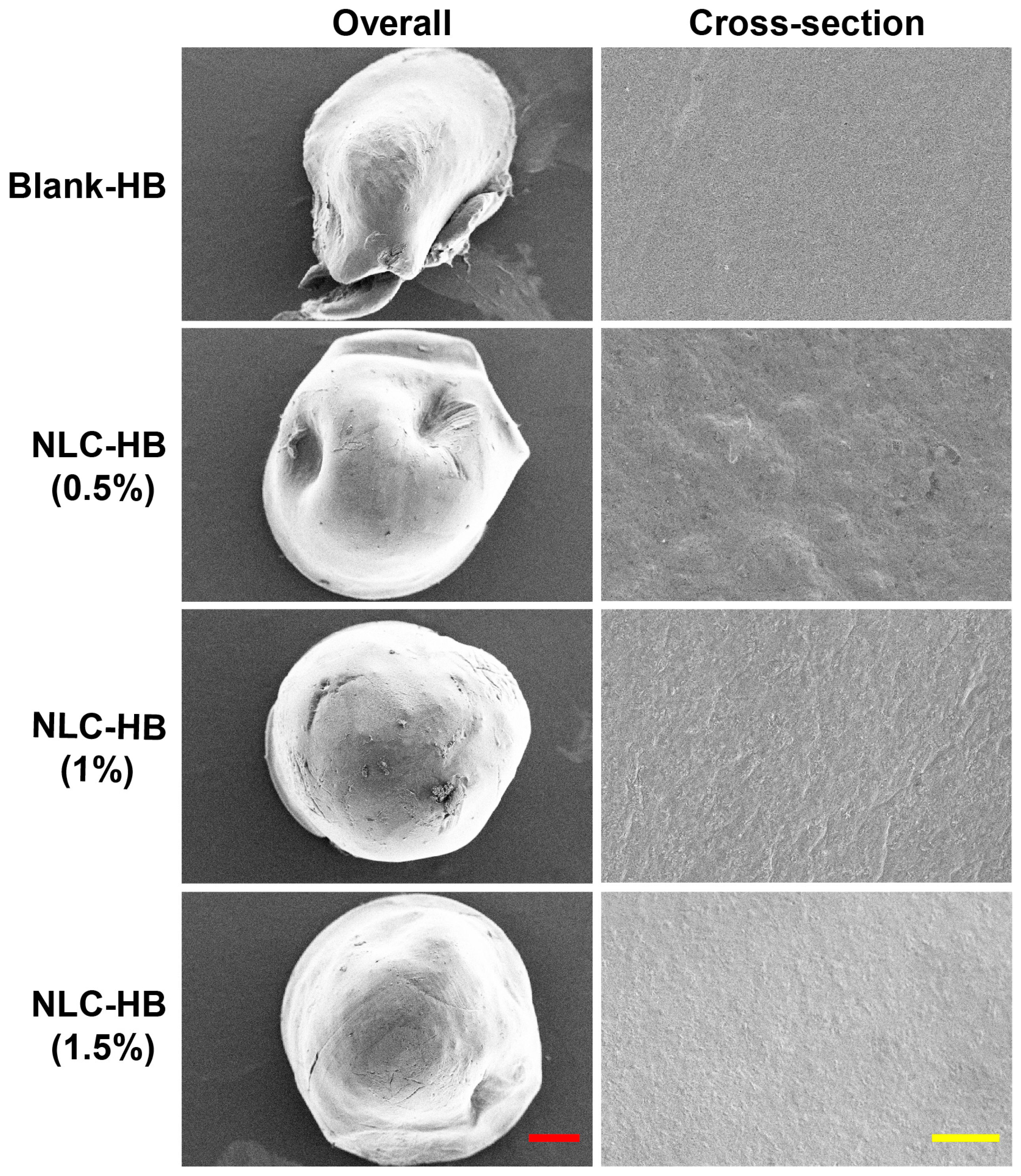 Pharmaceutics 17 00541 g002
