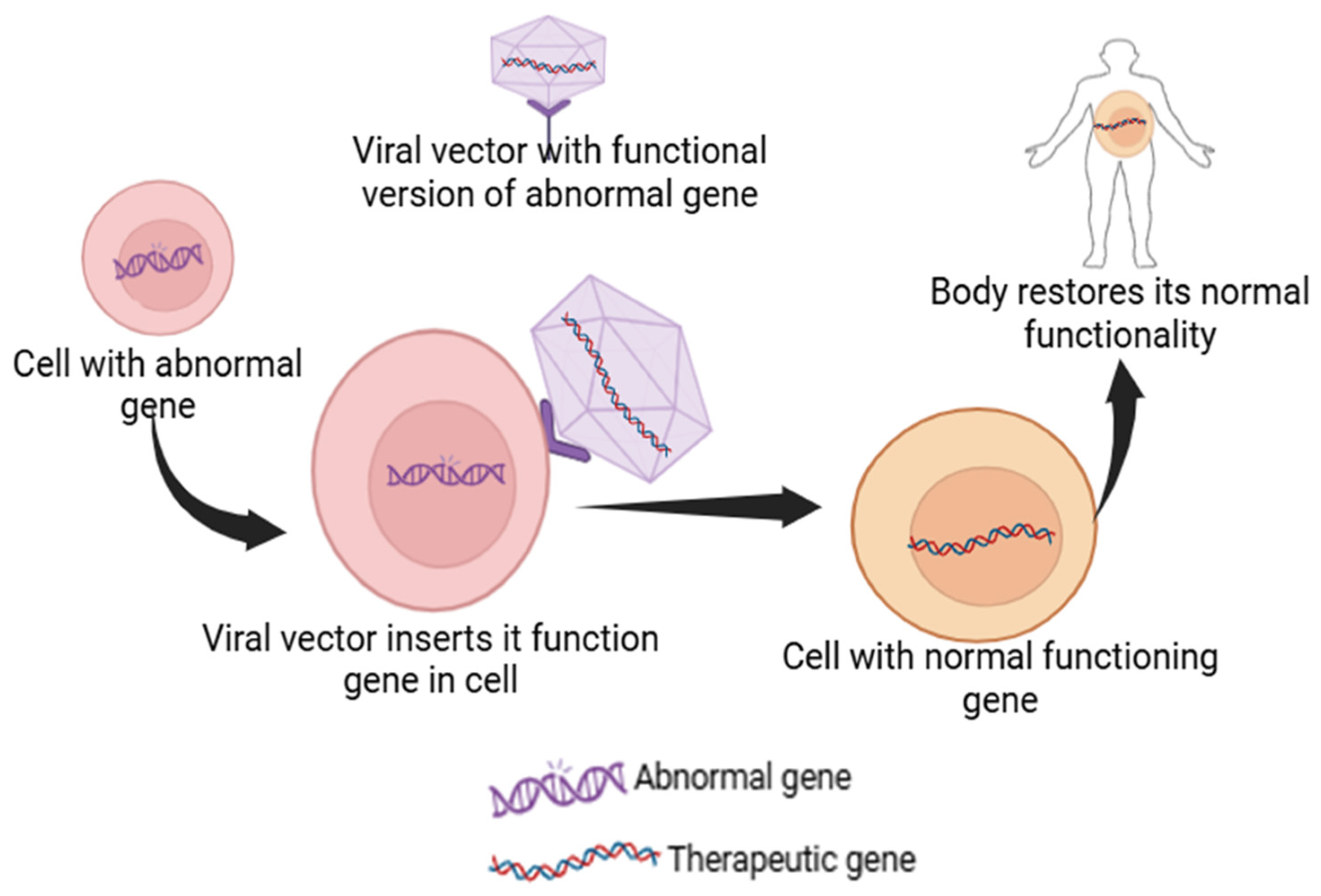 Pharmaceutics 17 00550 g002 Pharmaceutics 17 00550 g002