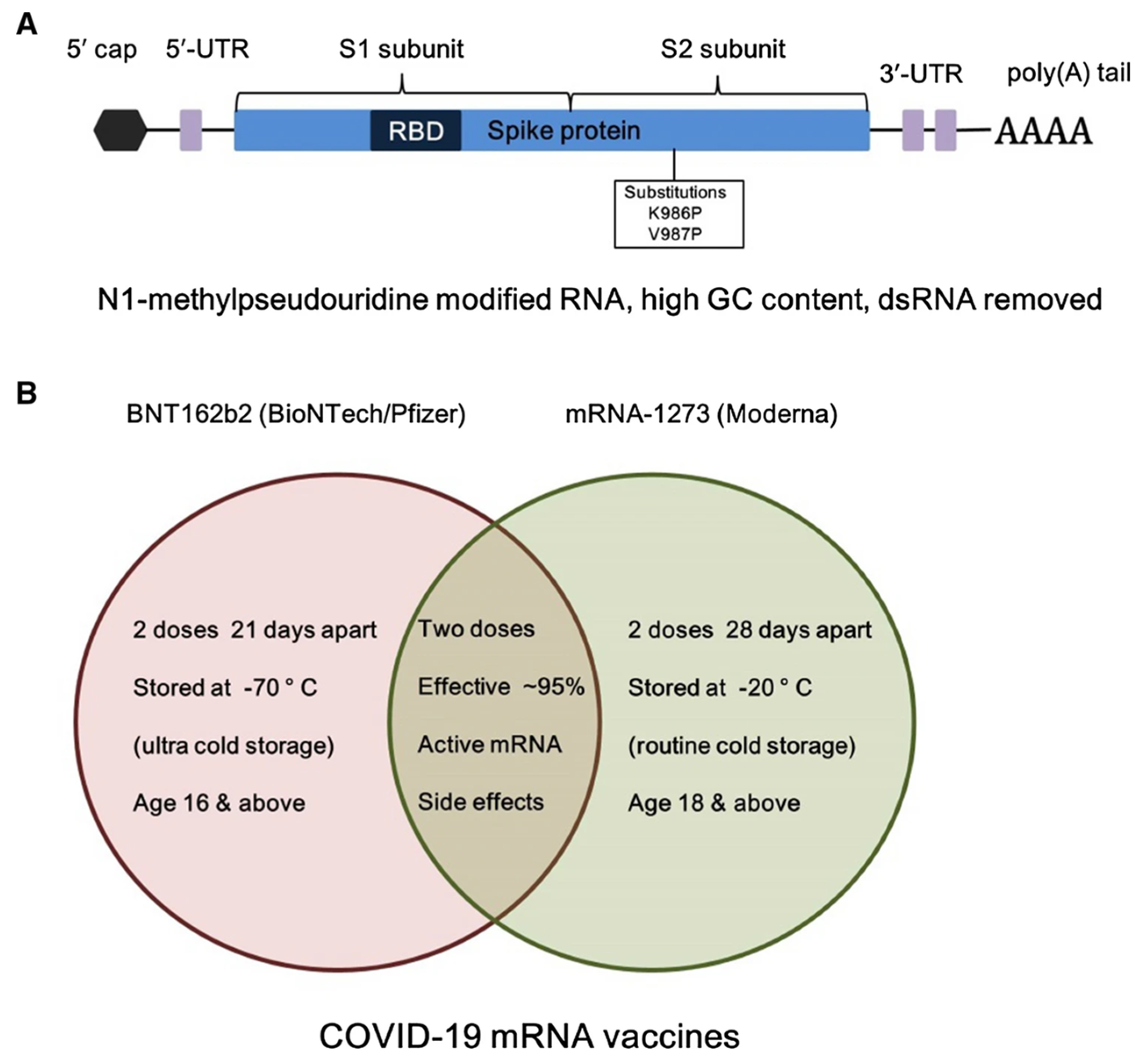 Pharmaceutics 17 00550 g005 Pharmaceutics 17 00550 g005