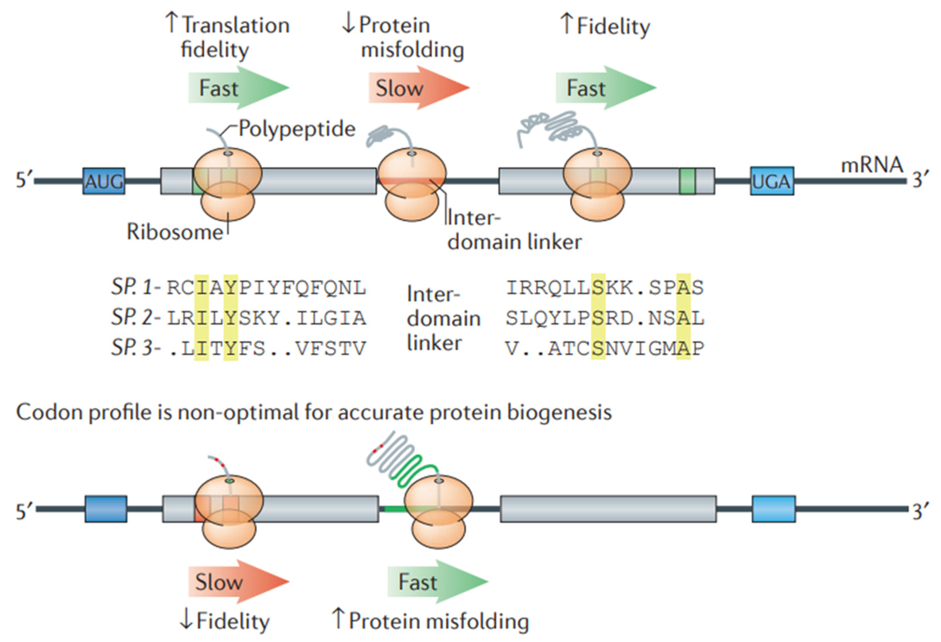 Pharmaceutics 17 00550 g008 Pharmaceutics 17 00550 g008