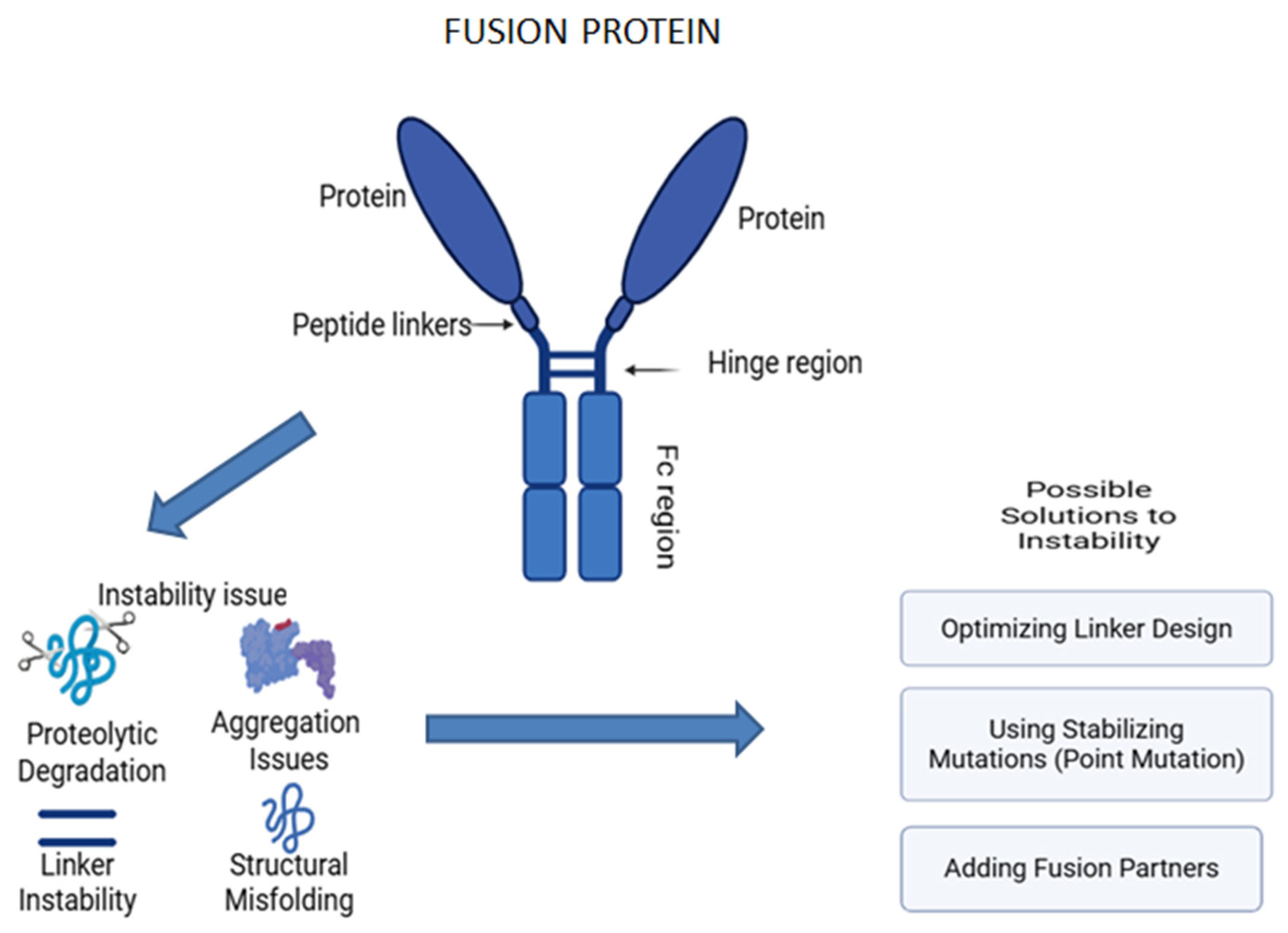 Pharmaceutics 17 00550 g010 Pharmaceutics 17 00550 g010