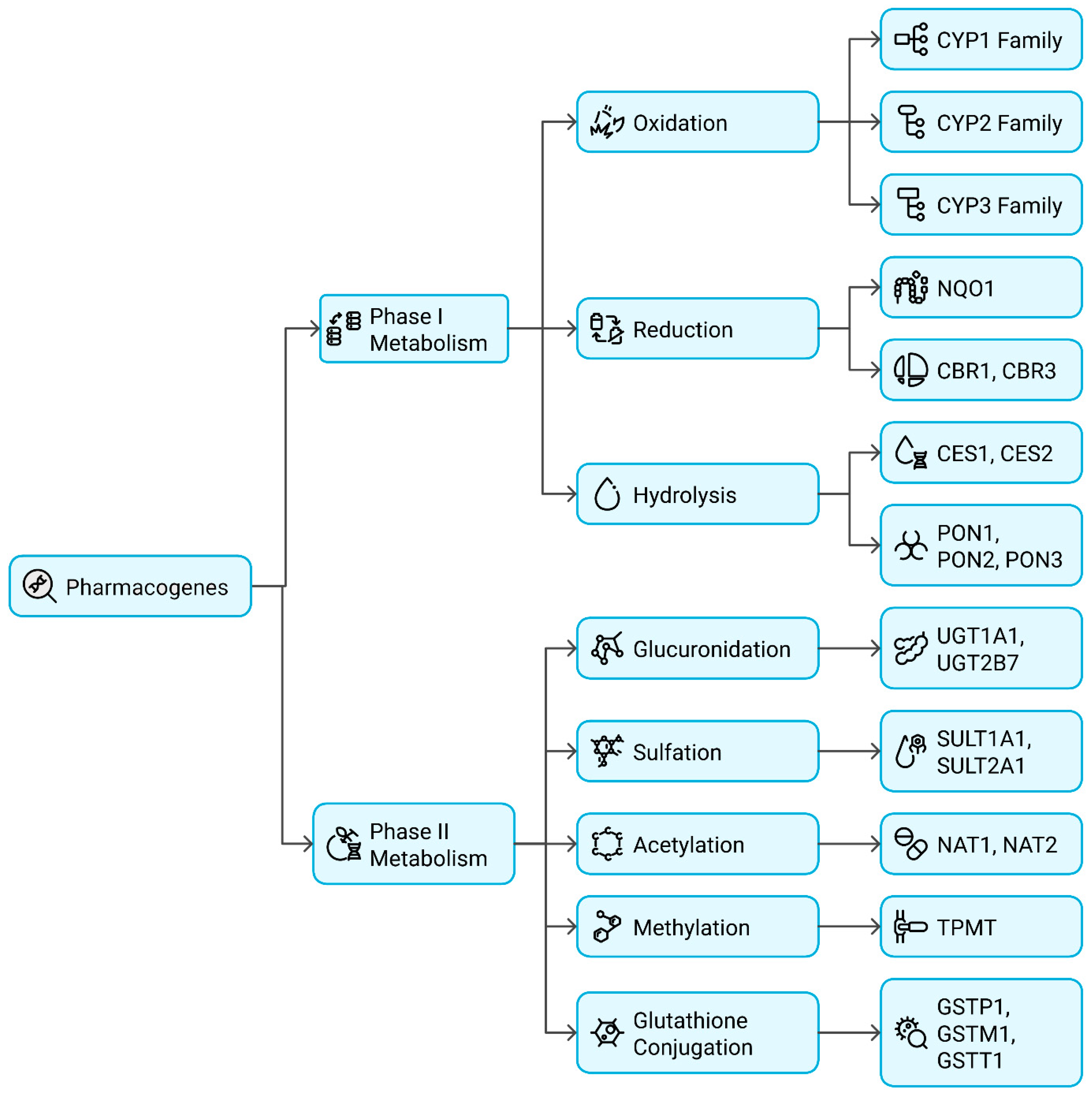 Pharmaceutics 17 00555 g002