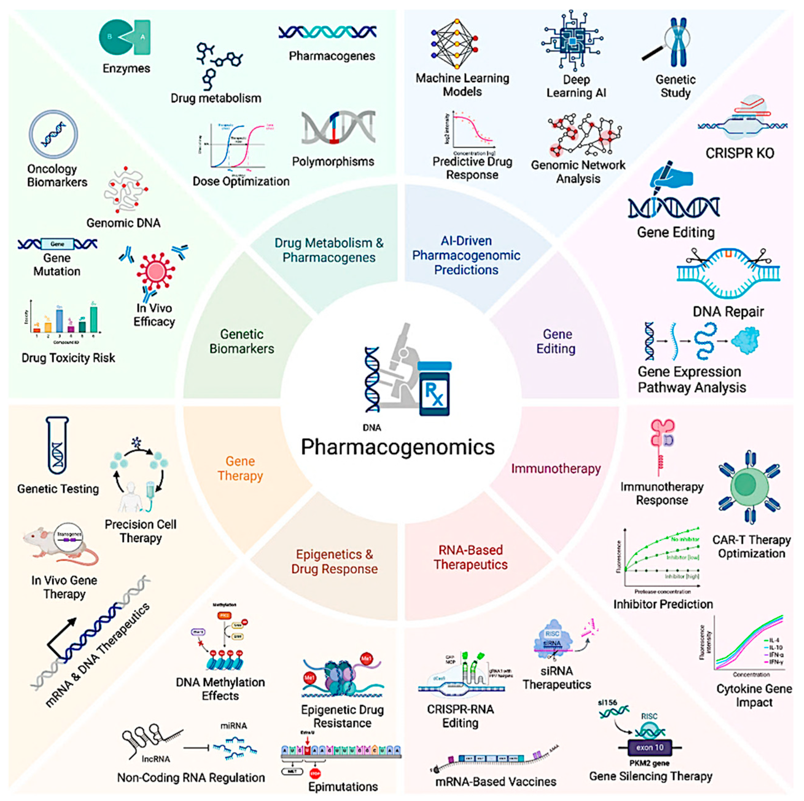 Pharmaceutics 17 00555 g003