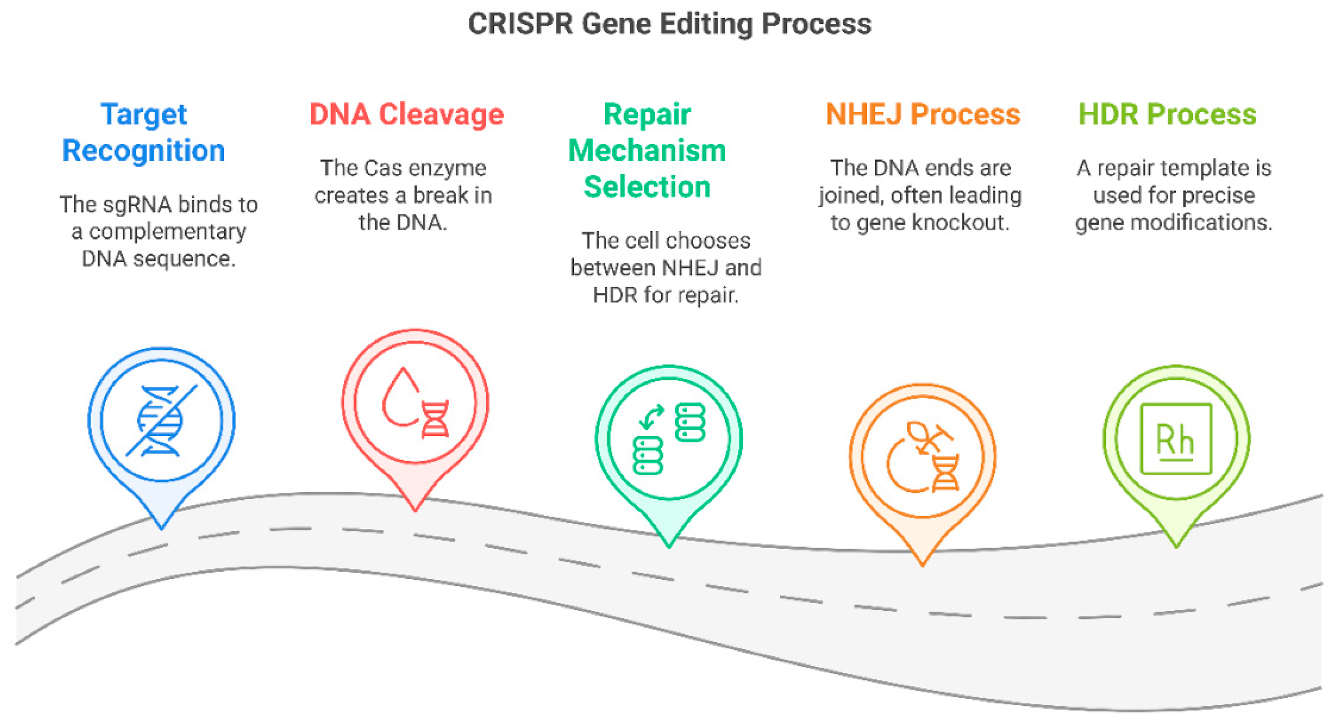 Pharmaceutics 17 00555 g004