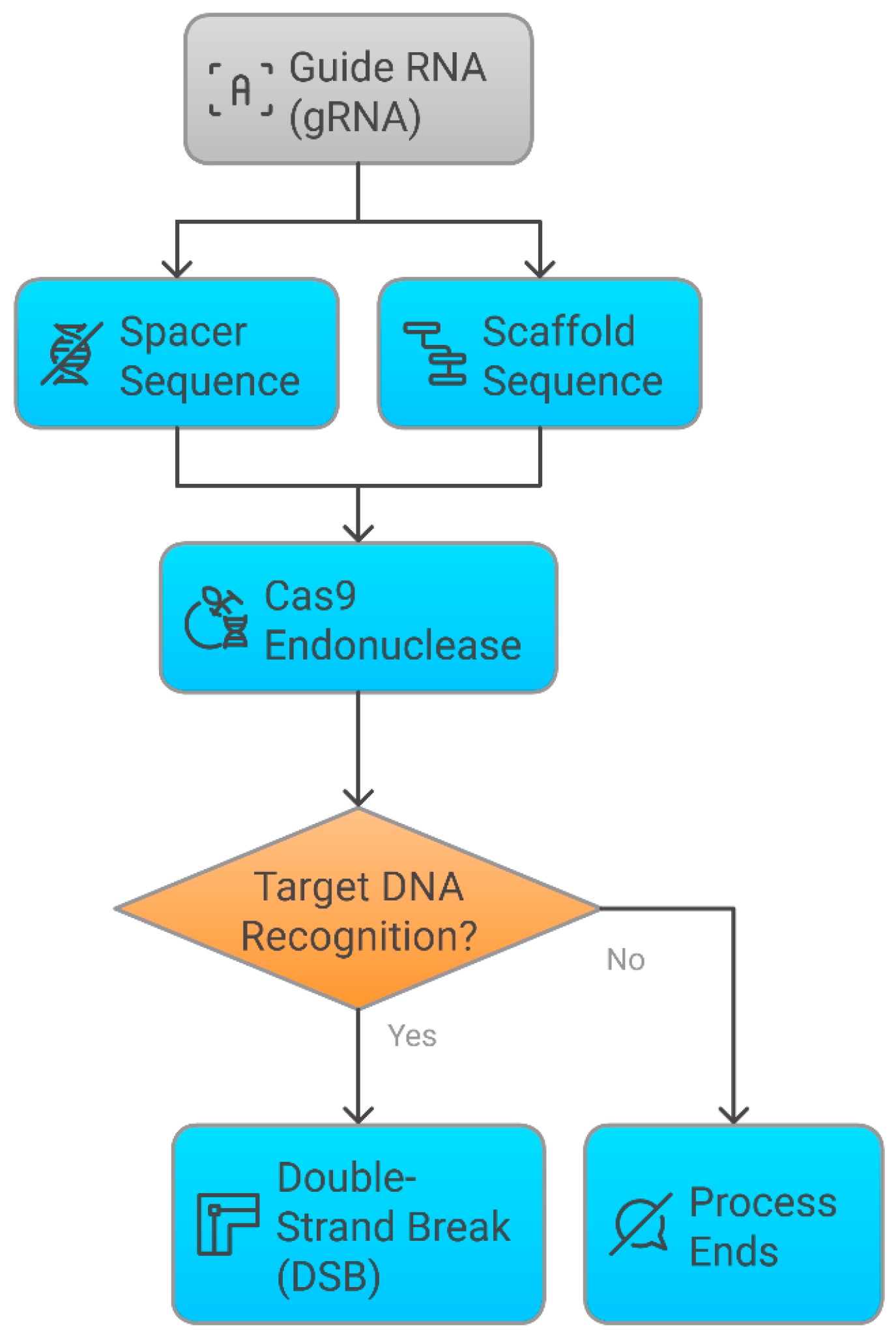 Pharmaceutics 17 00555 g005