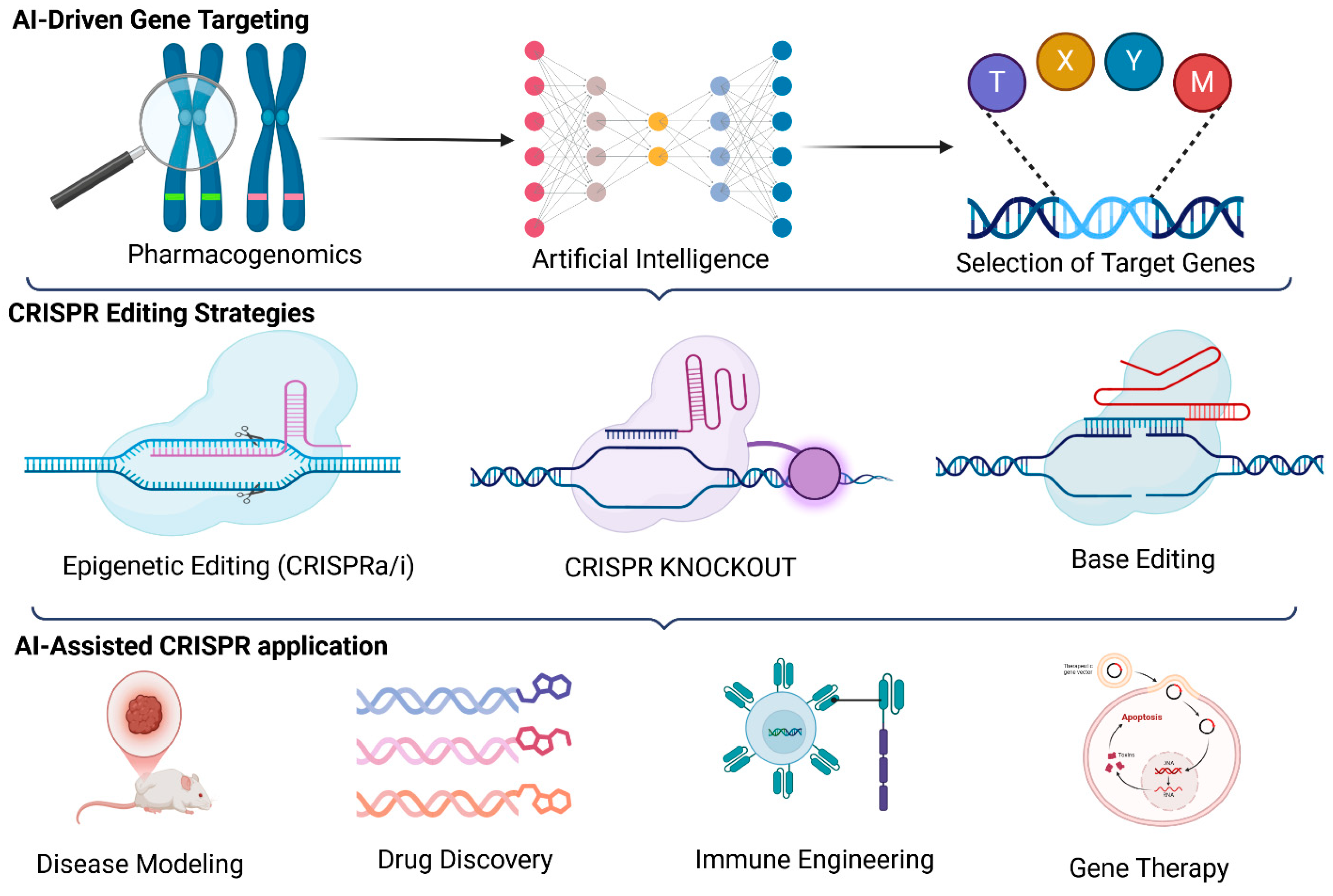 Pharmaceutics 17 00555 g006