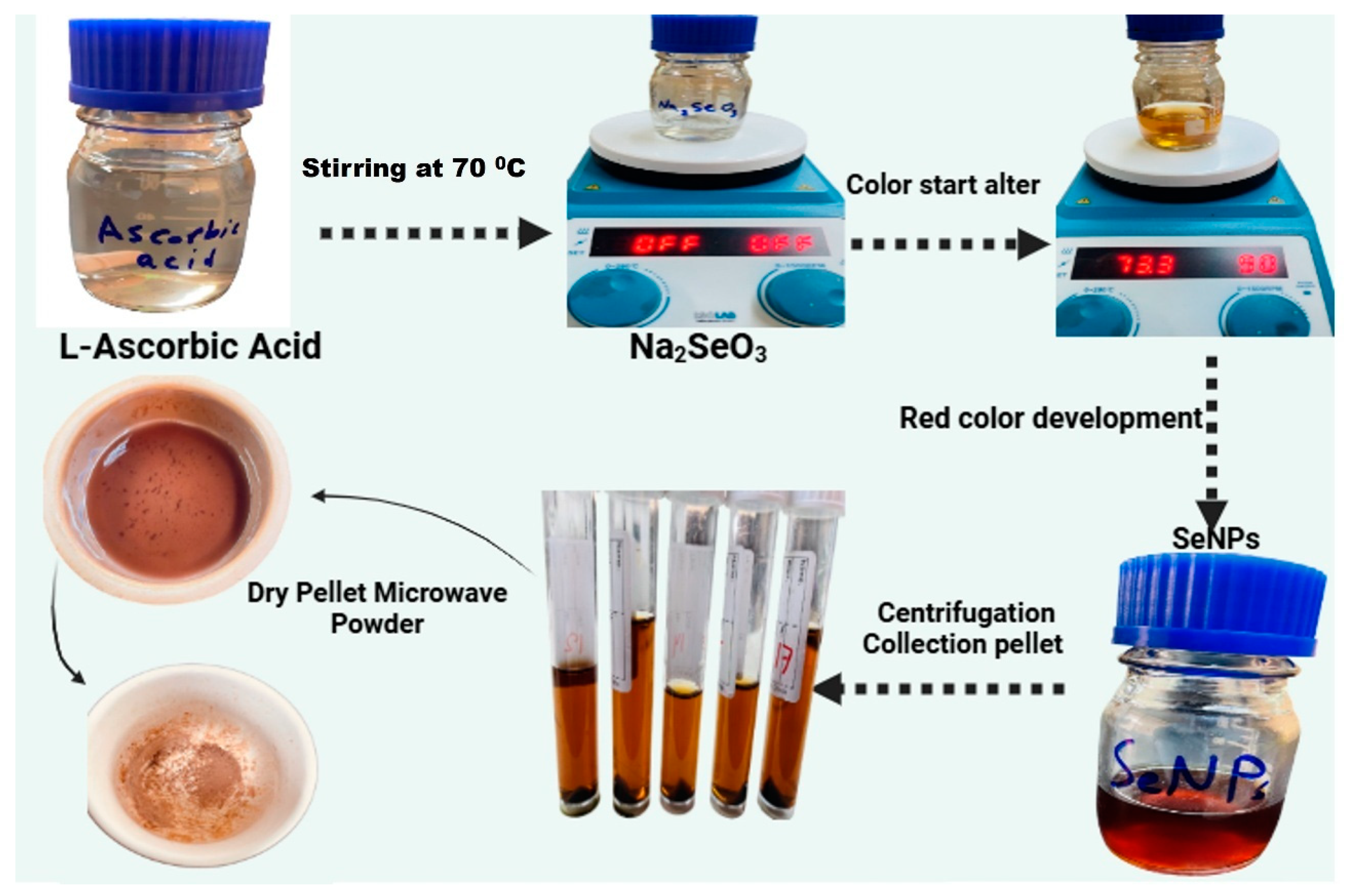 Pharmaceutics 17 00556 g001