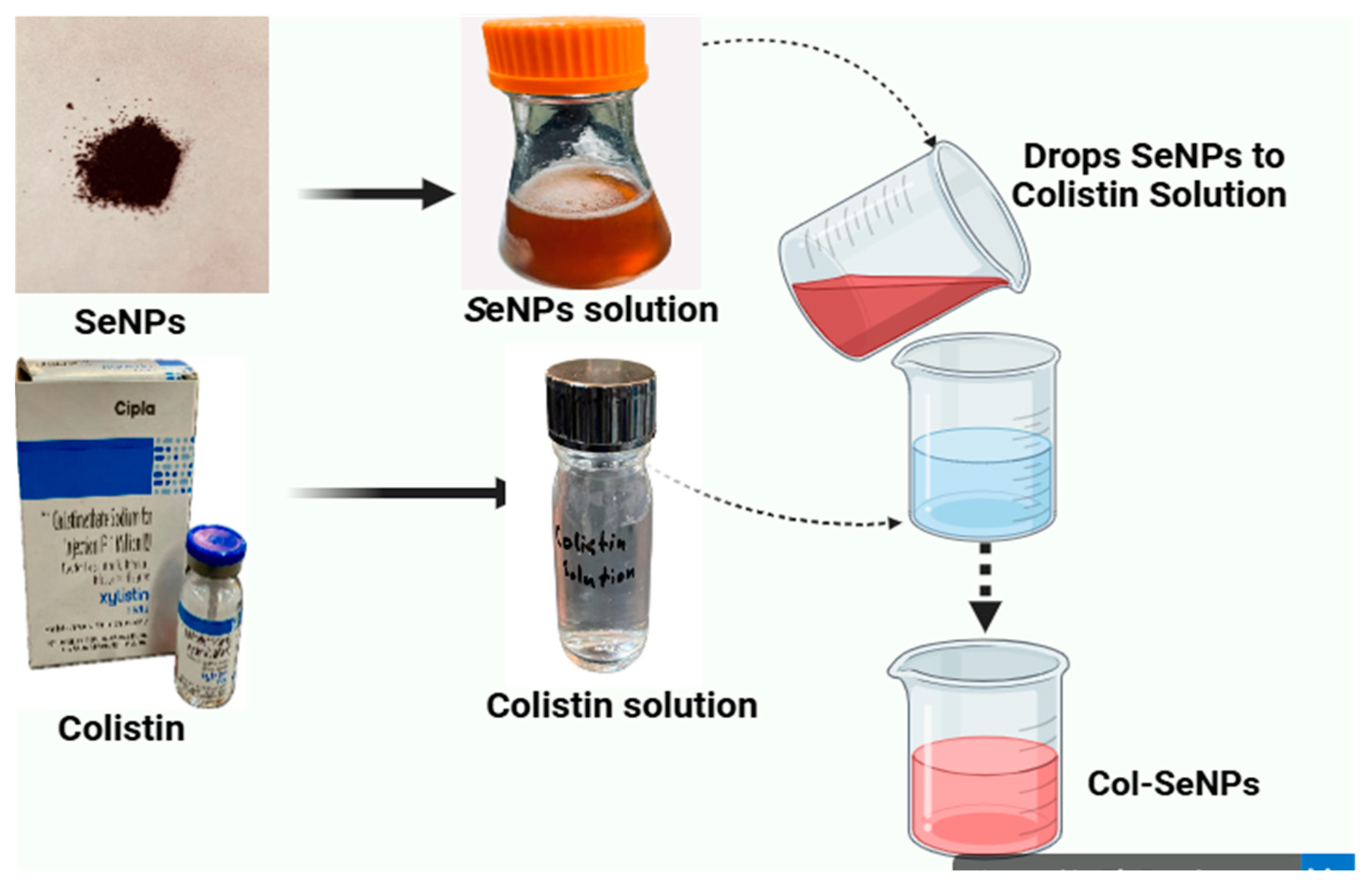 Pharmaceutics 17 00556 g002