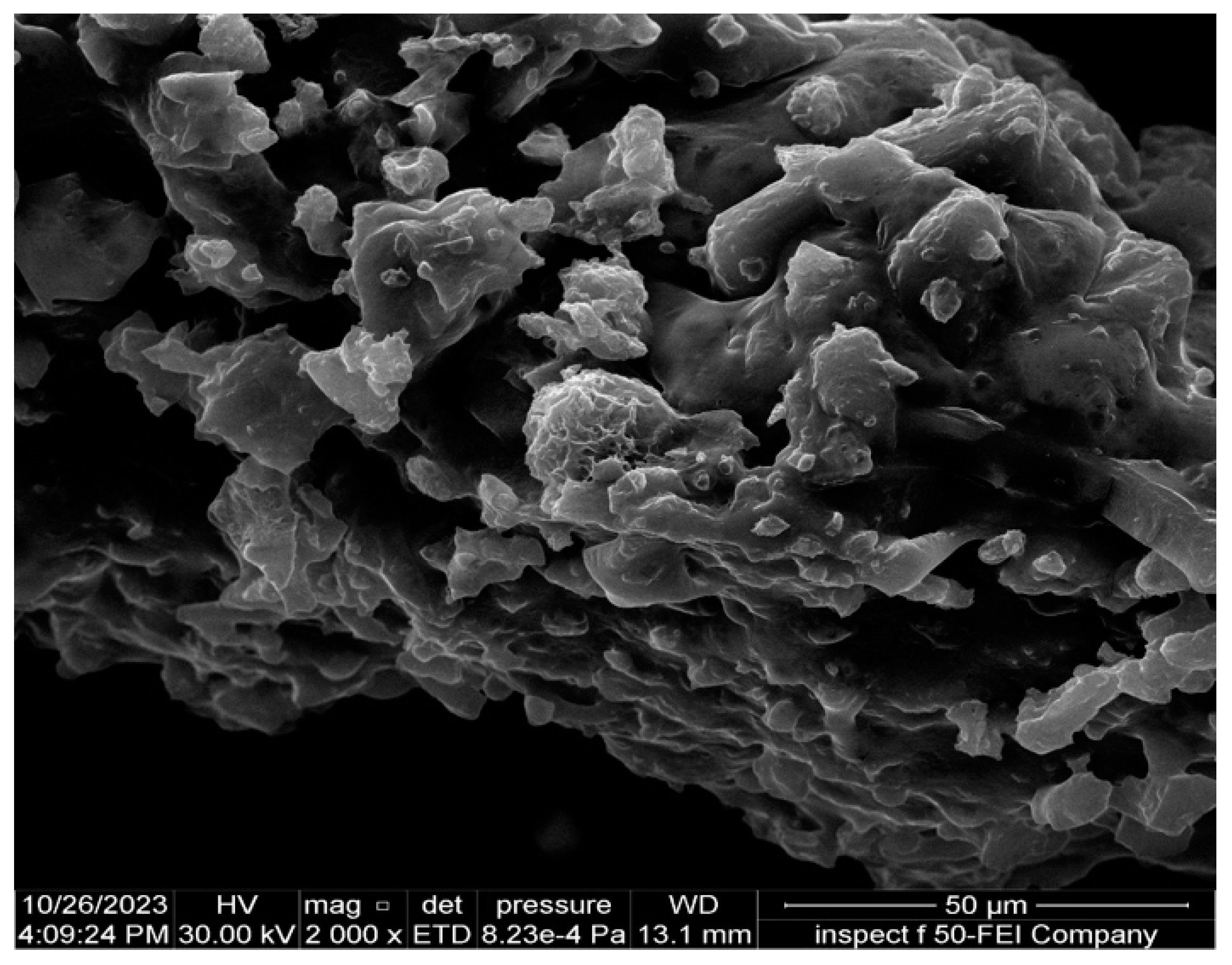 Pharmaceutics 17 00556 g009