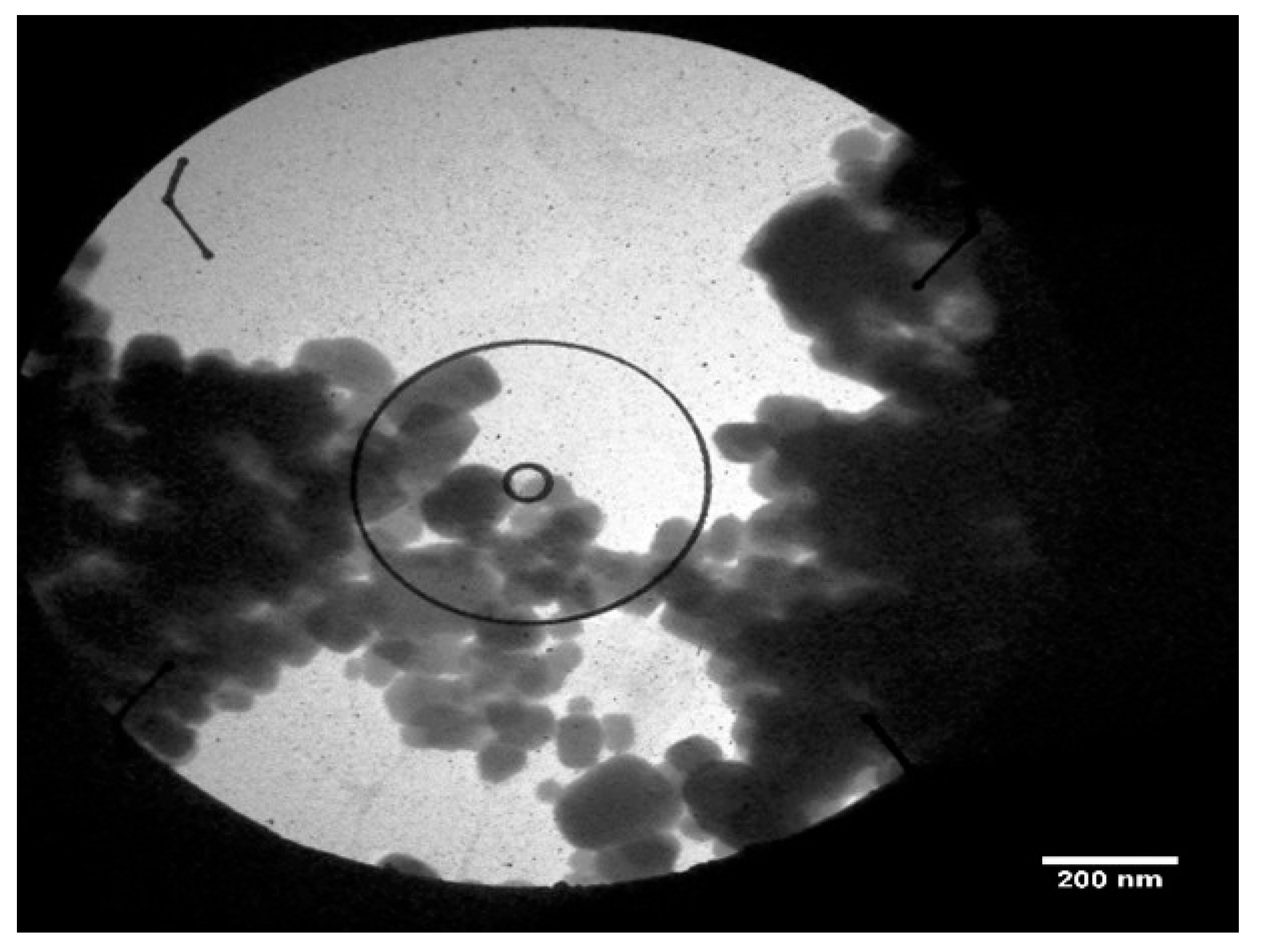 Pharmaceutics 17 00556 g010