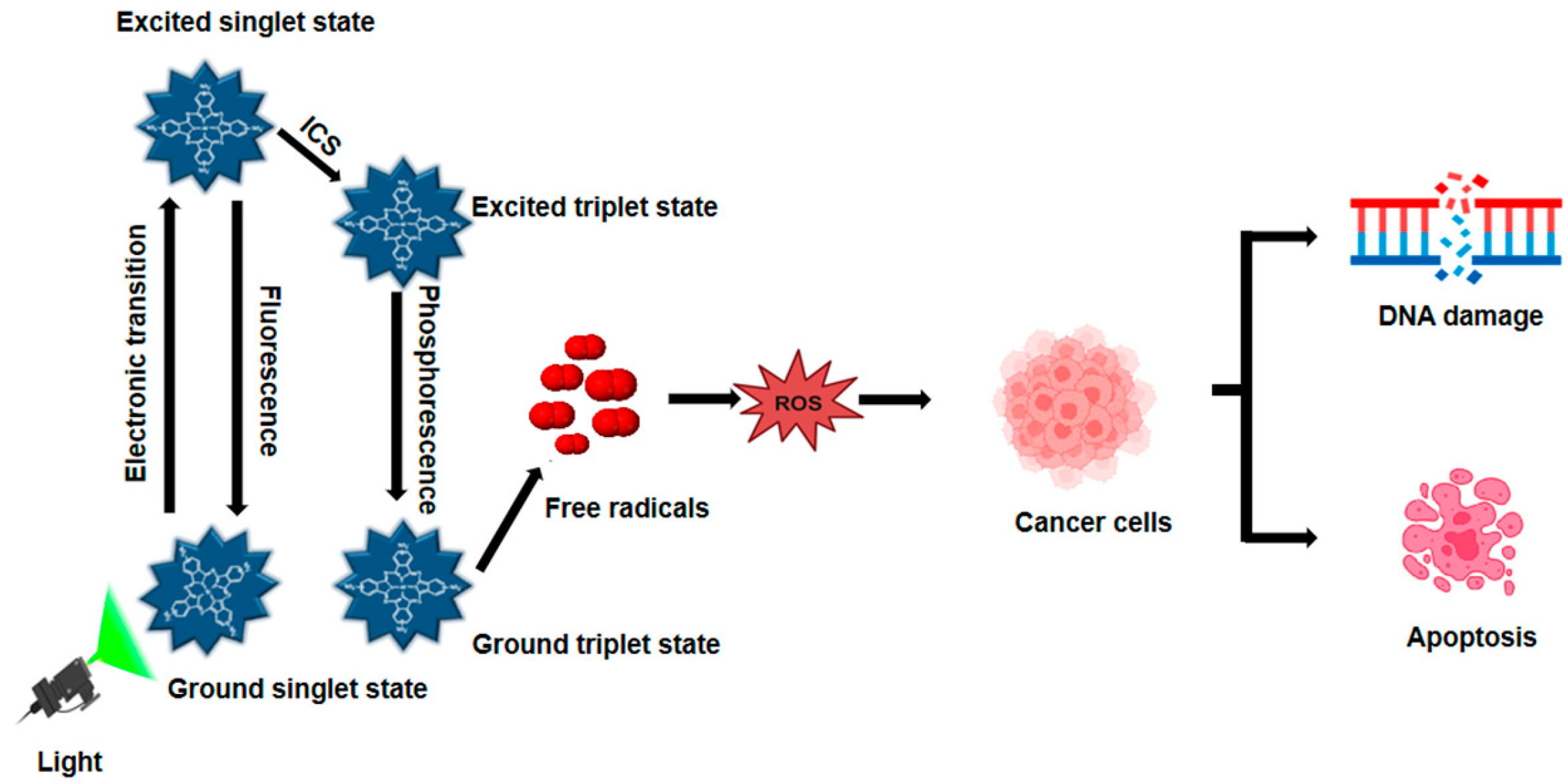 Pharmaceutics 17 00559 g001 Pharmaceutics 17 00559 g001
