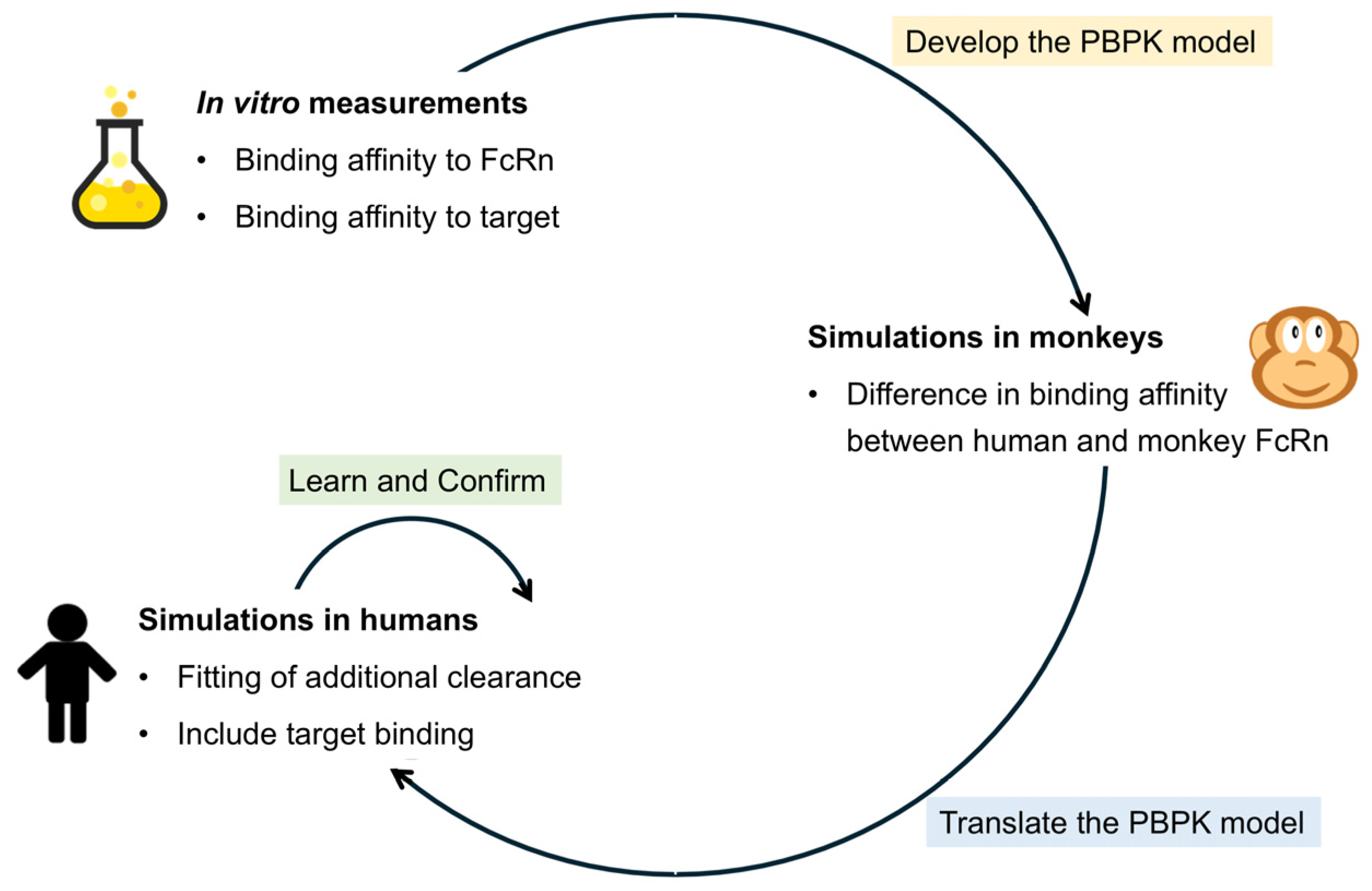 Pharmaceutics 17 00560 g001