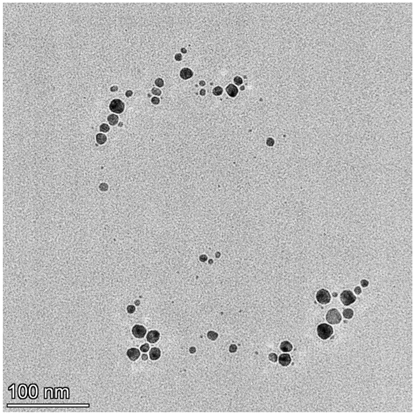 Pharmaceutics 17 00561 g002