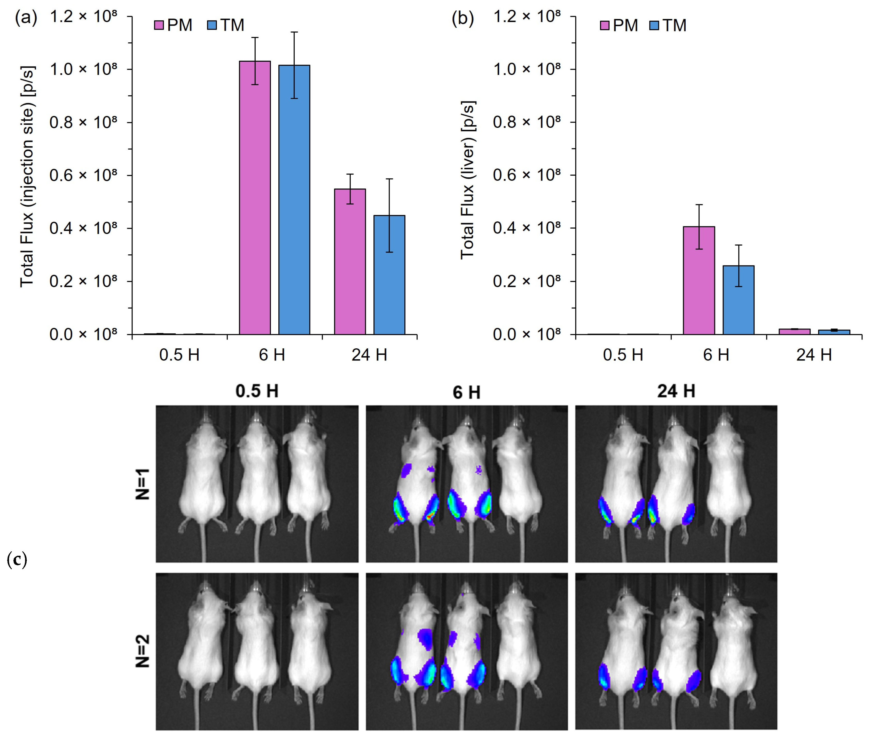 Pharmaceutics 17 00566 g005