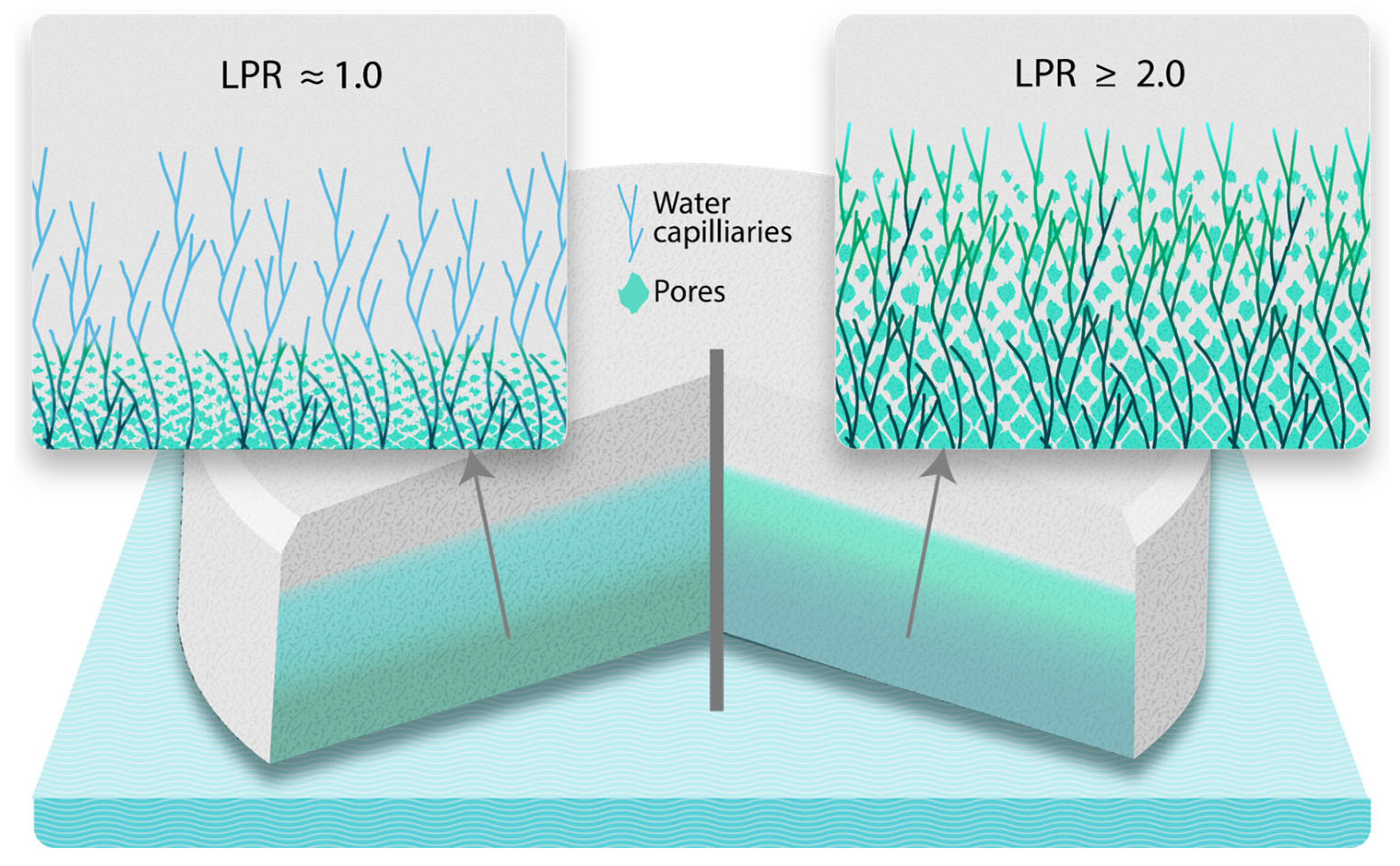 Pharmaceutics 17 00567 g005