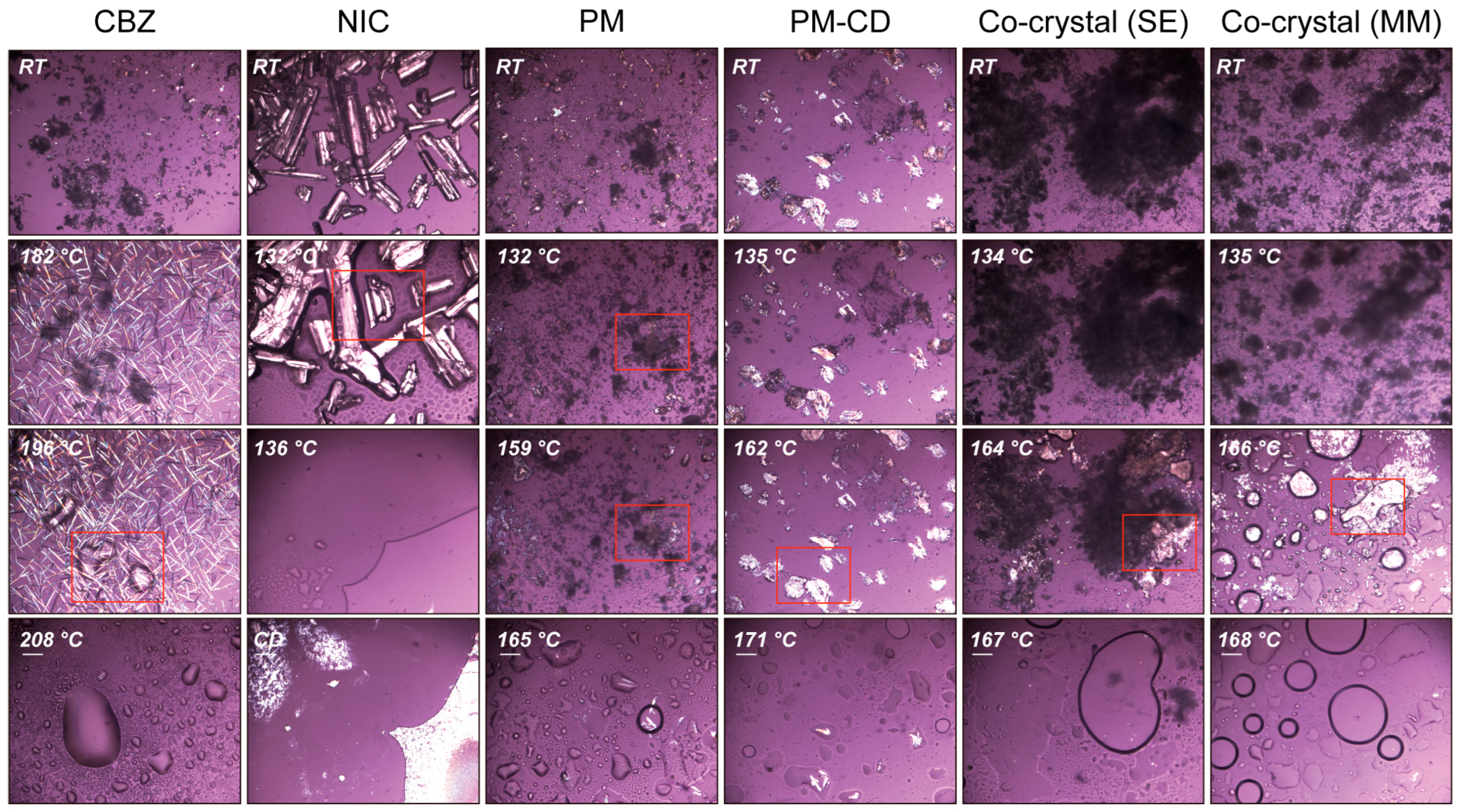Pharmaceutics 17 00568 g007