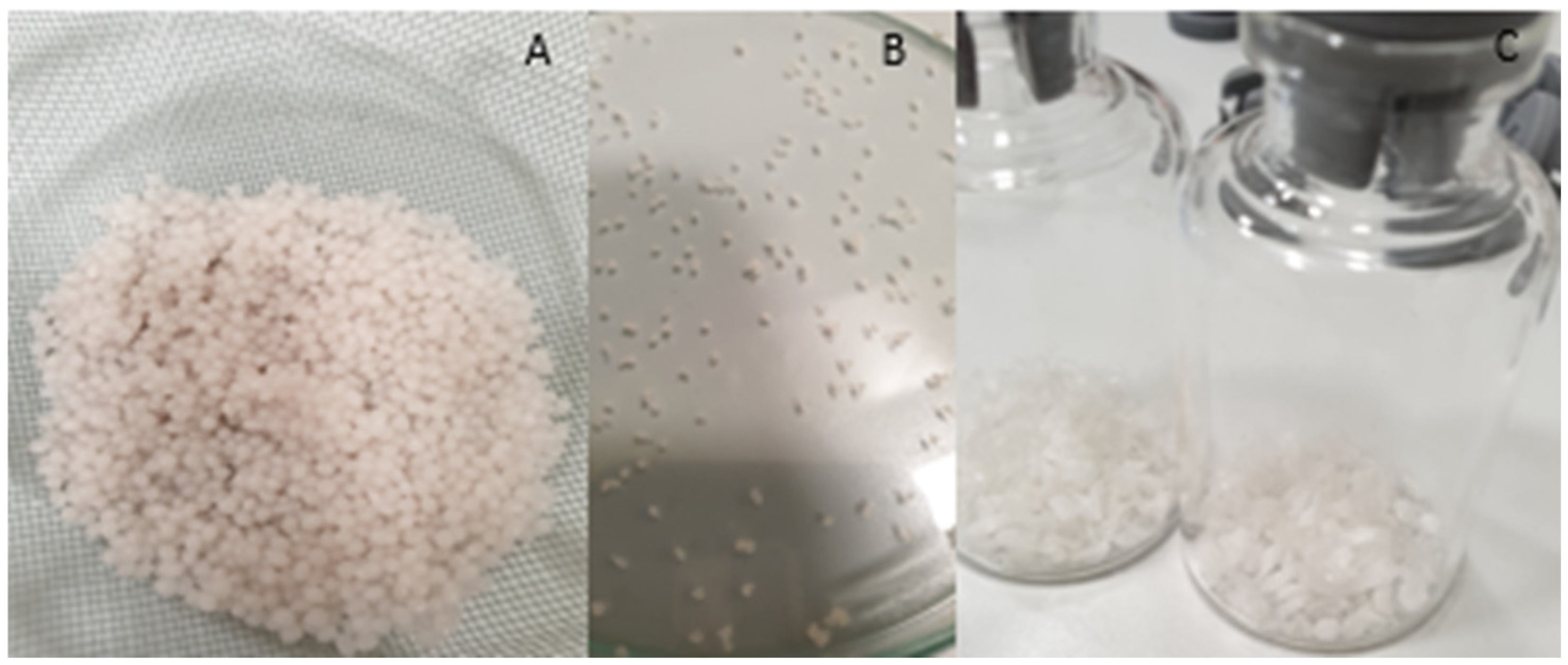 Pharmaceutics 17 00569 g002