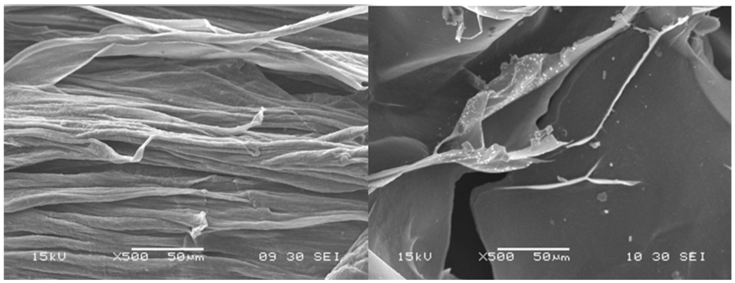 Pharmaceutics 17 00569 g003