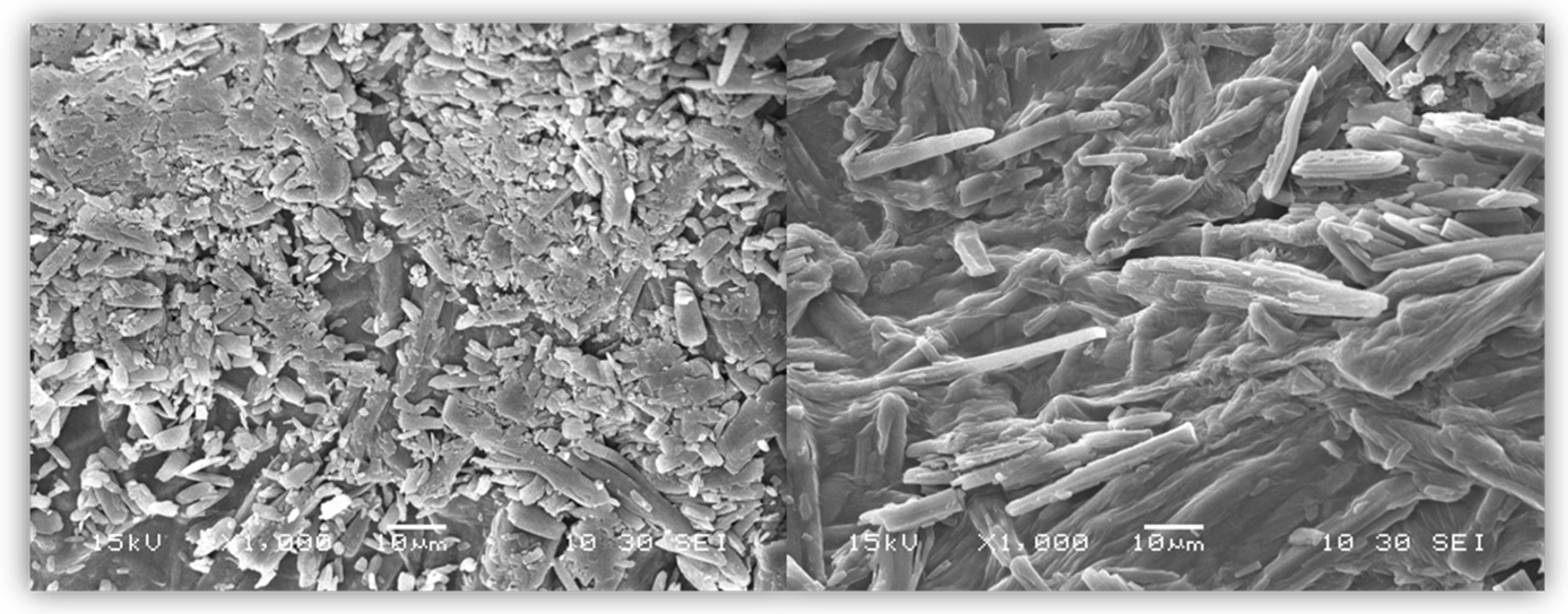 Pharmaceutics 17 00569 g004
