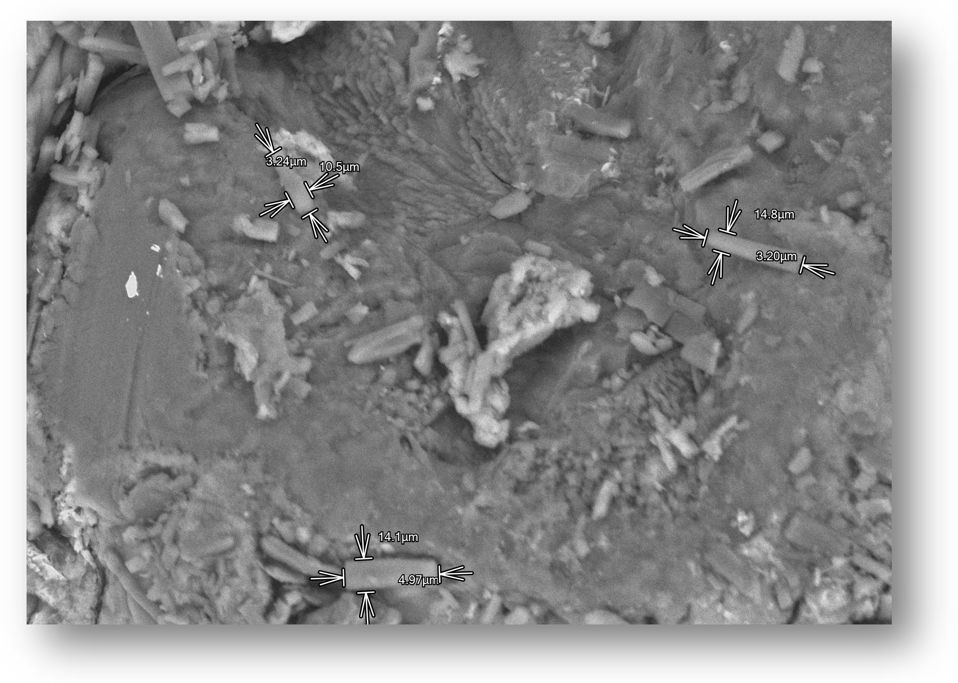 Pharmaceutics 17 00569 g005