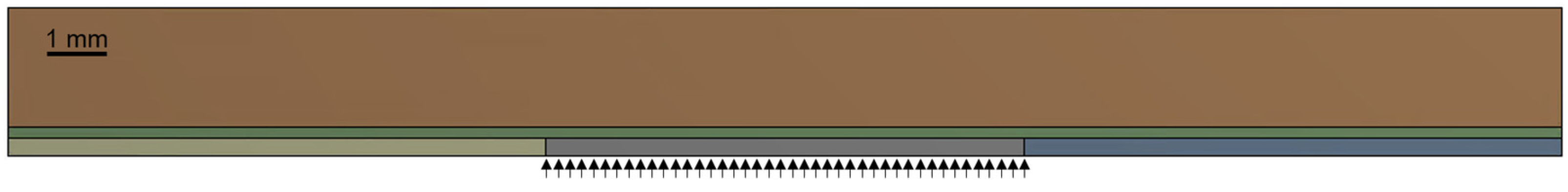 Pharmaceutics 17 00570 g002
