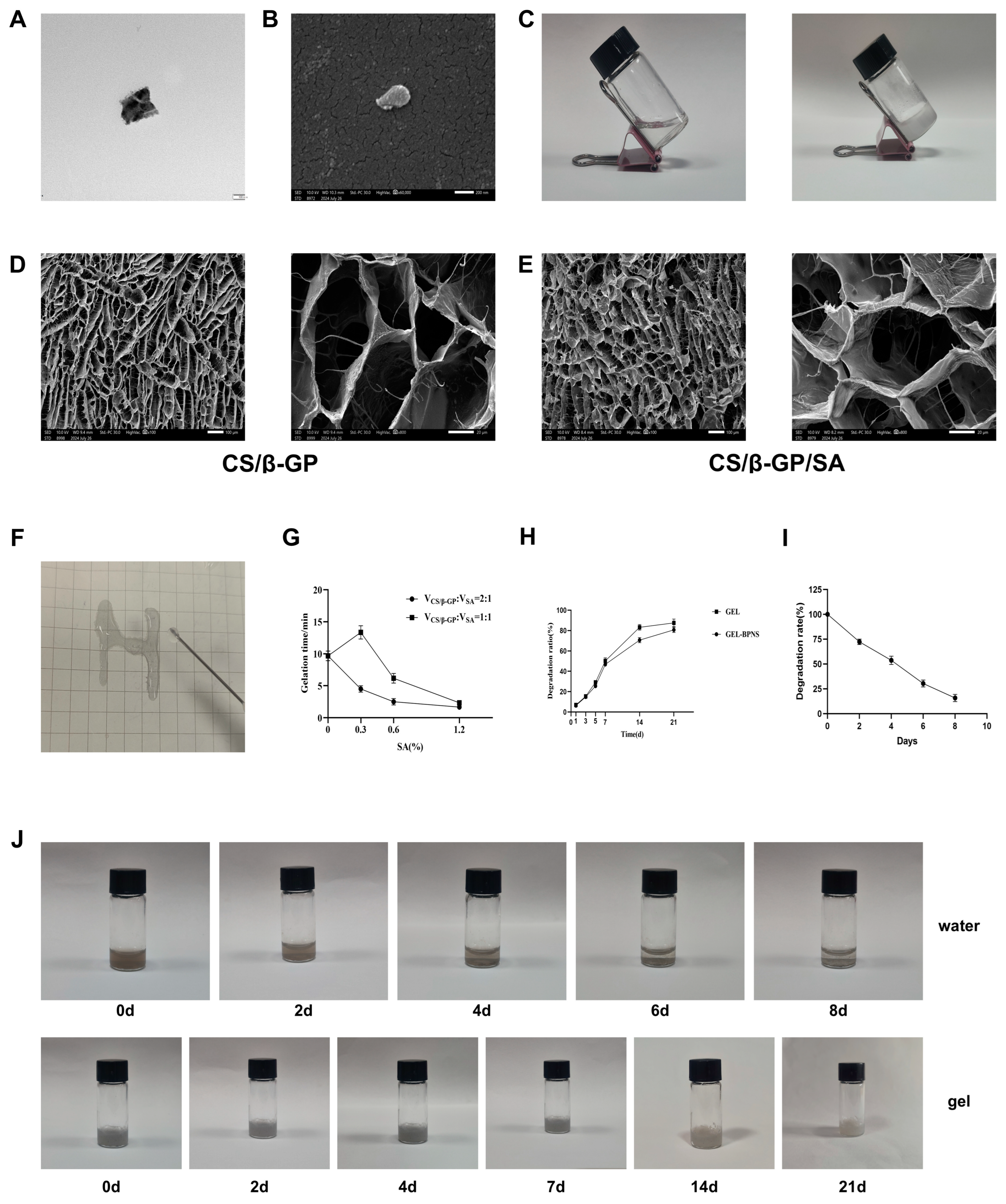 Pharmaceutics 17 00573 g001