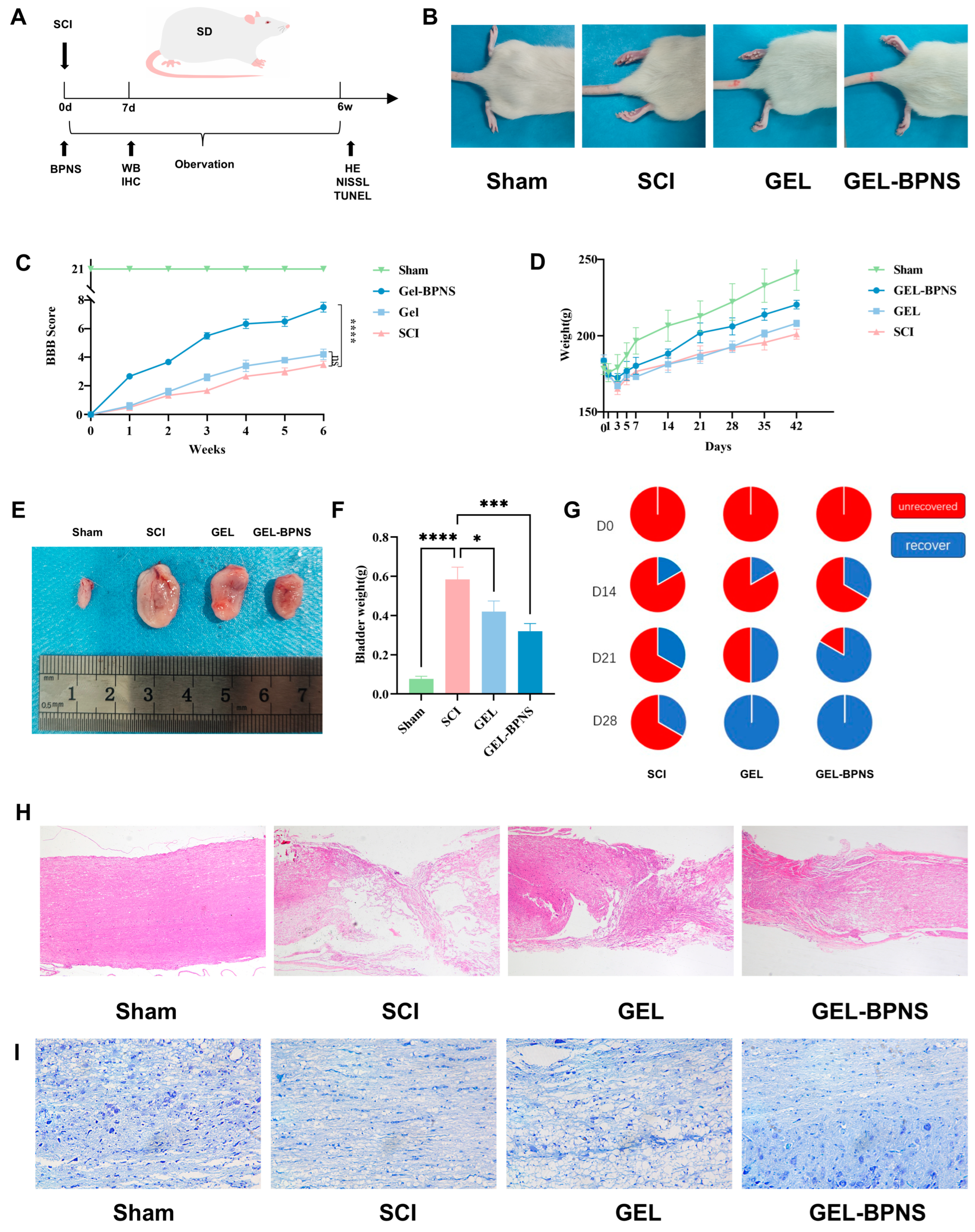 Pharmaceutics 17 00573 g002