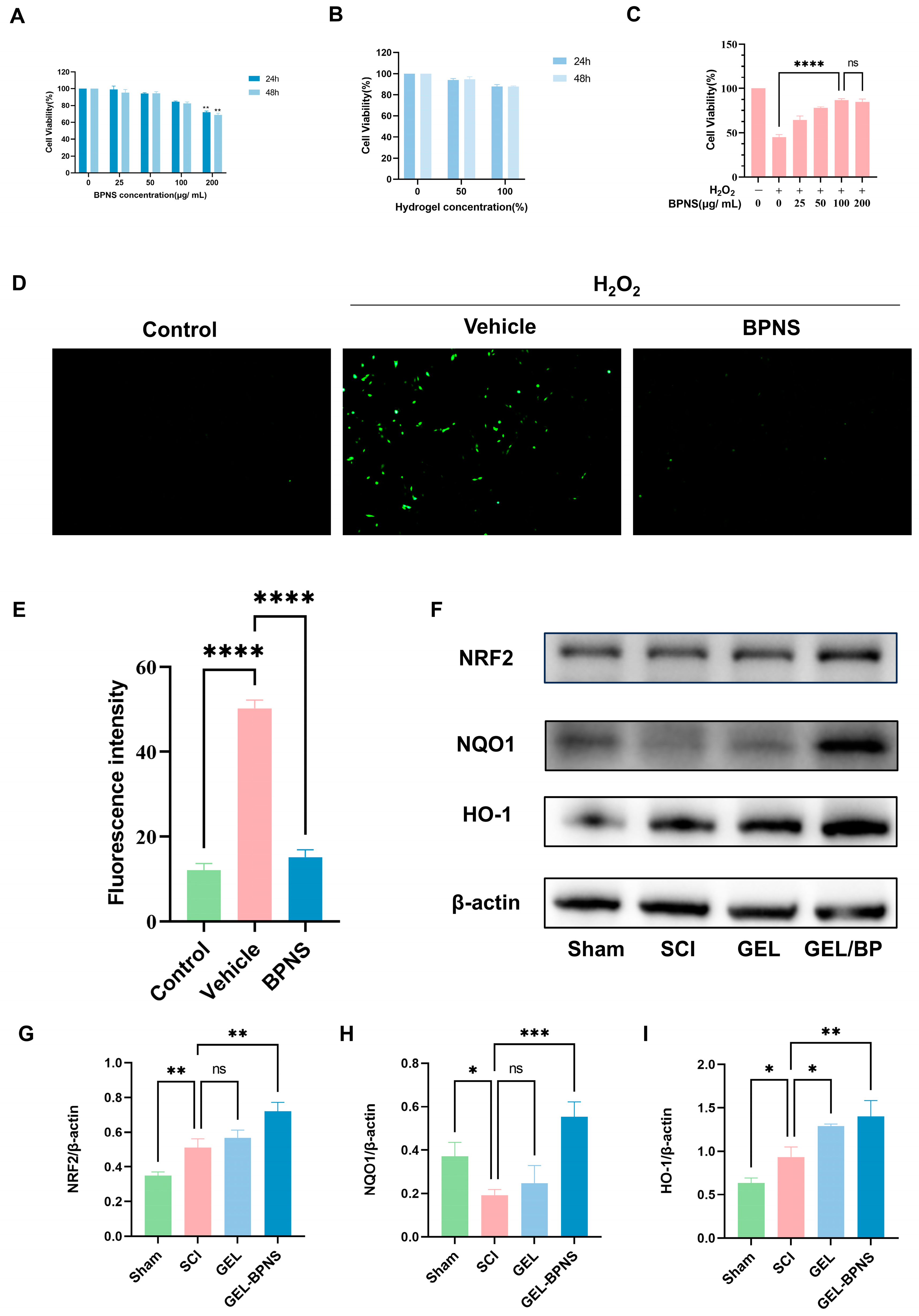 Pharmaceutics 17 00573 g003