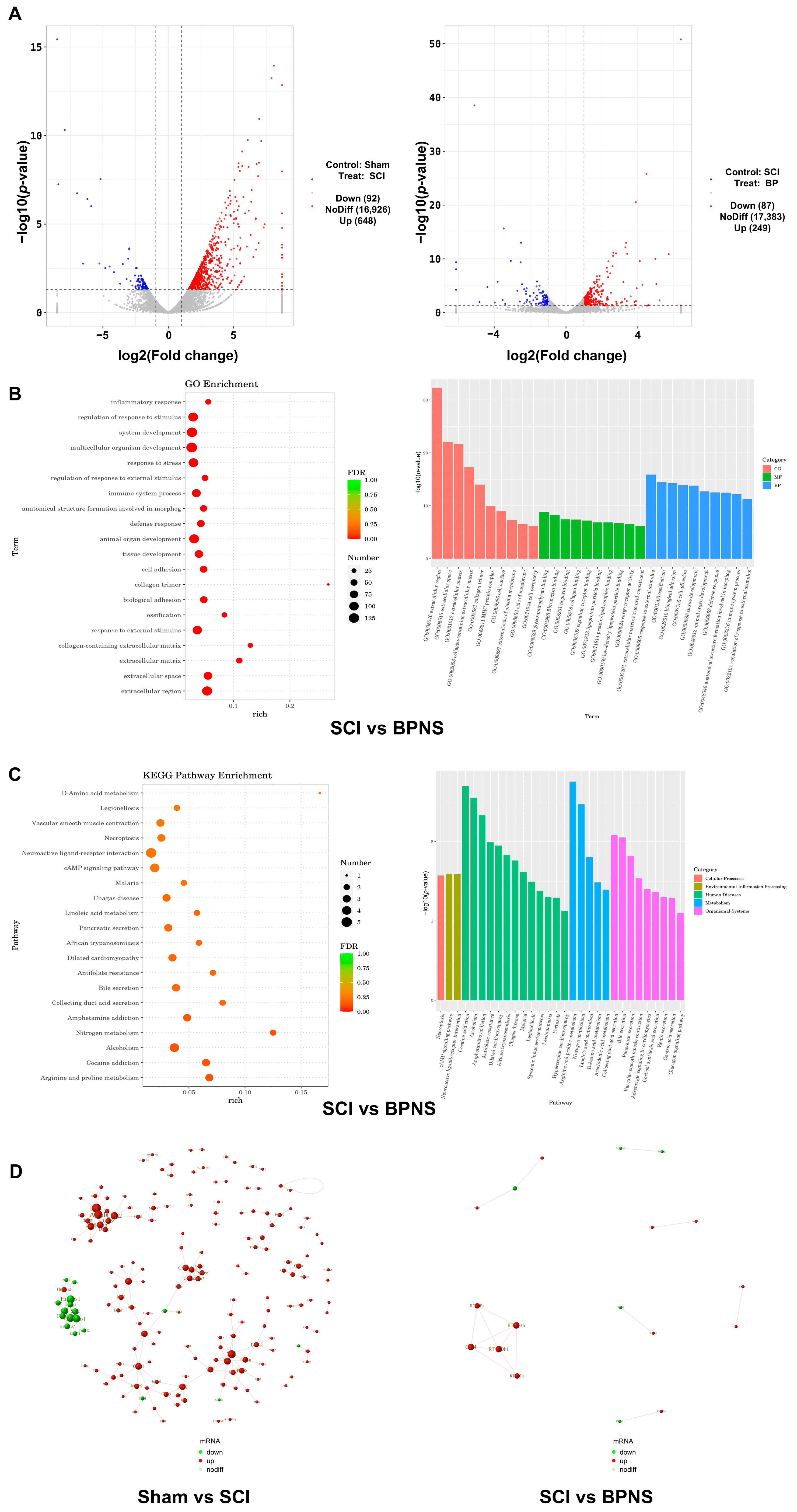 Pharmaceutics 17 00573 g004