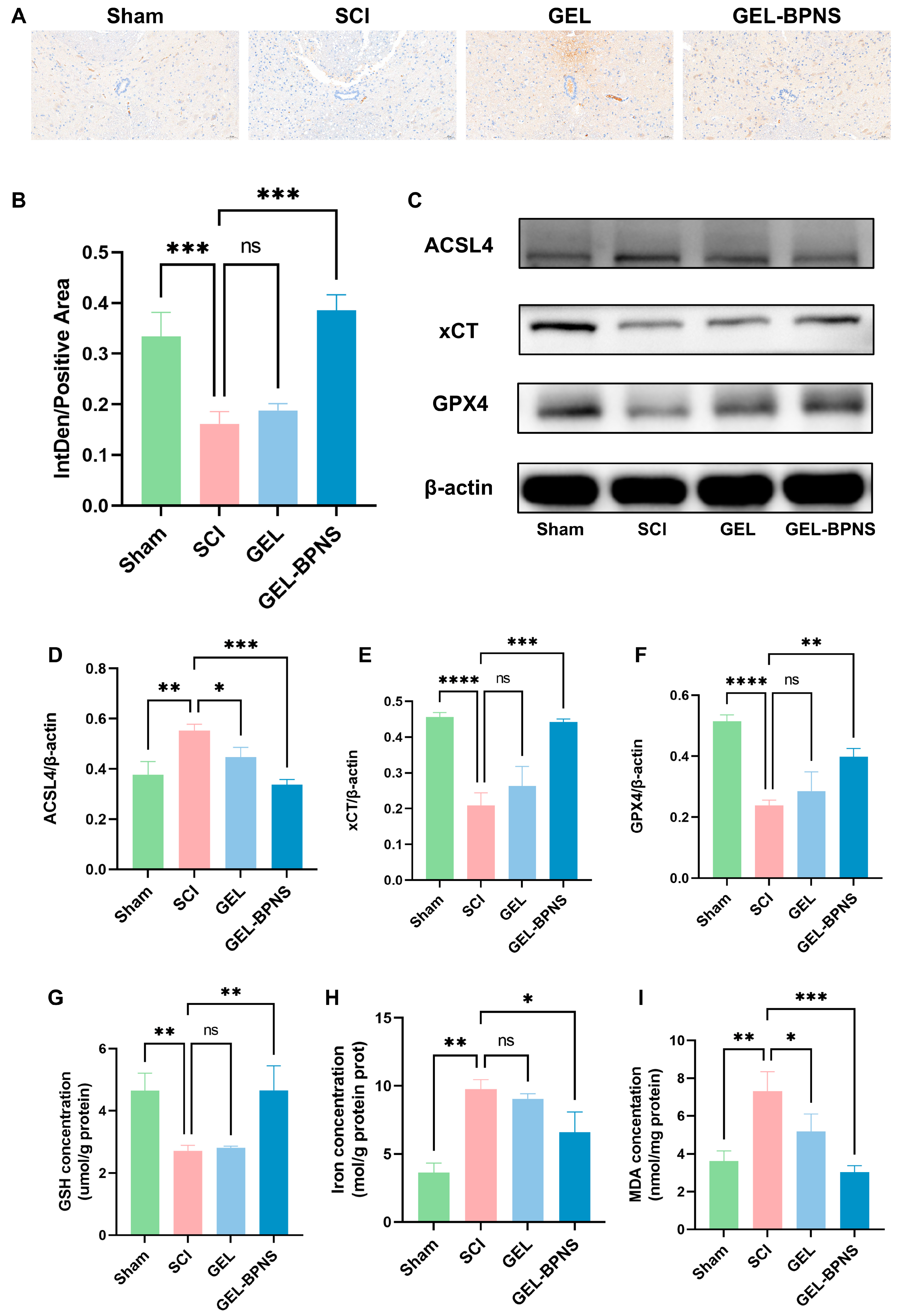 Pharmaceutics 17 00573 g005