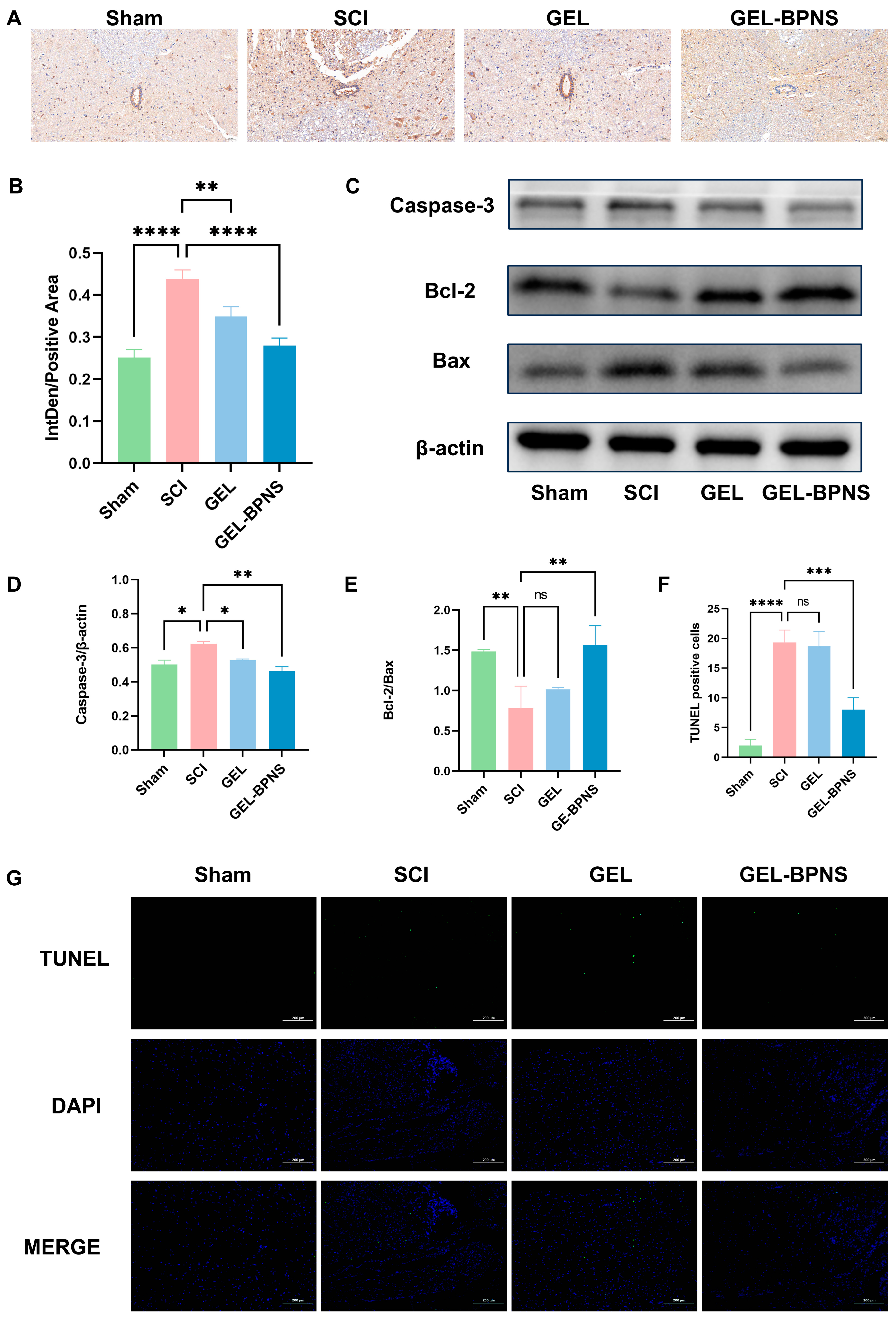 Pharmaceutics 17 00573 g006