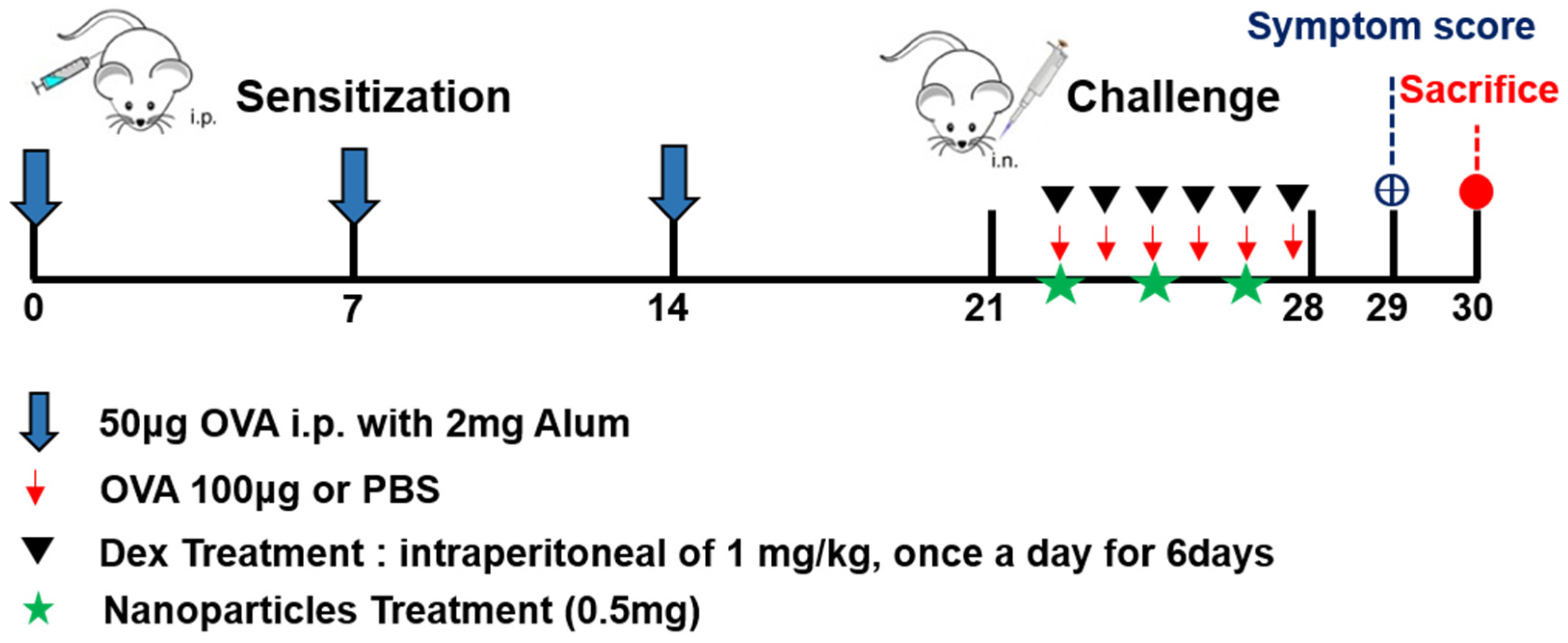 Pharmaceutics 17 00575 g001